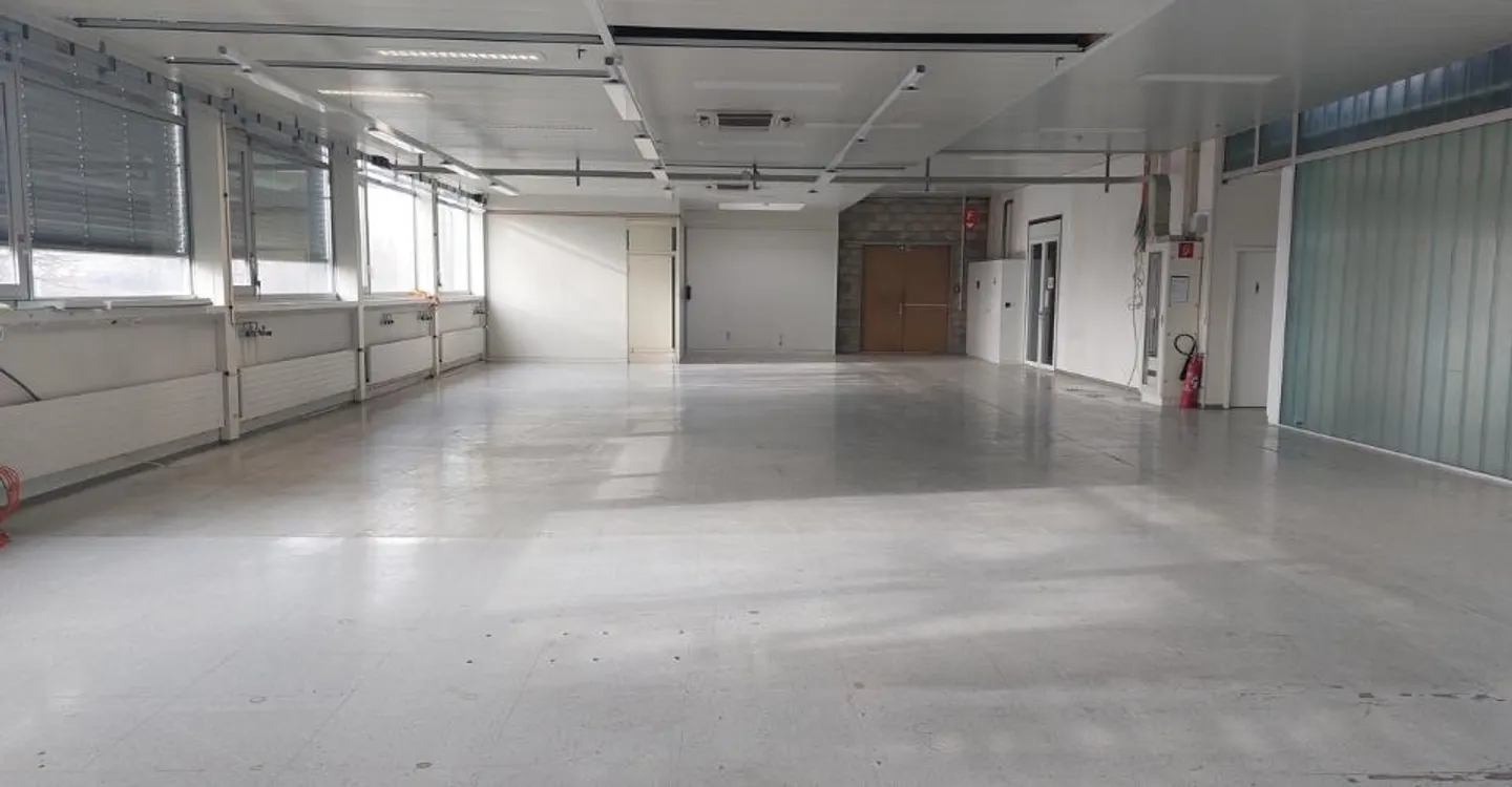 Workshop from 500 m² for rent - Depot / workshop - Photo 3 of 9