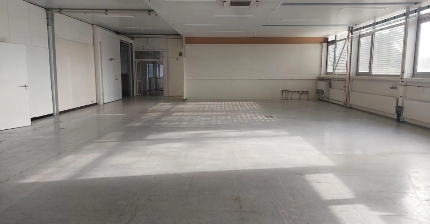 Workshop from 500 m² for rent - Depot / workshop - Photo 4 of 9