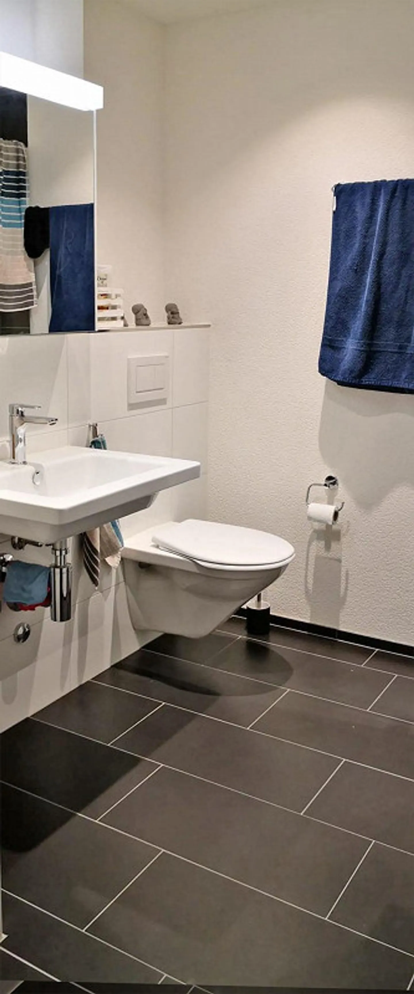 Exklusive 2.5-Zimmer-Wohnung mit Rheinblick - Foto 7 von 10