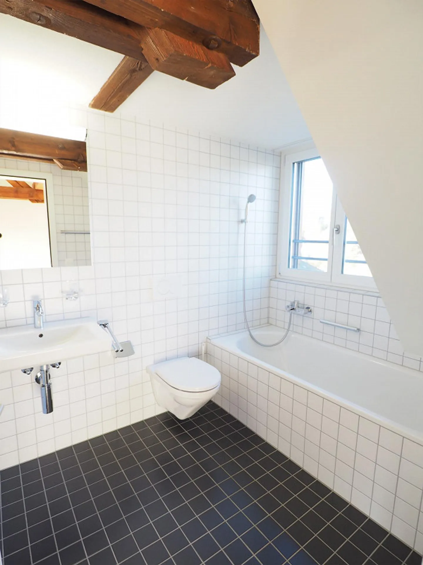 Sopra i tetti di Lucerna - Foto 4 di 11