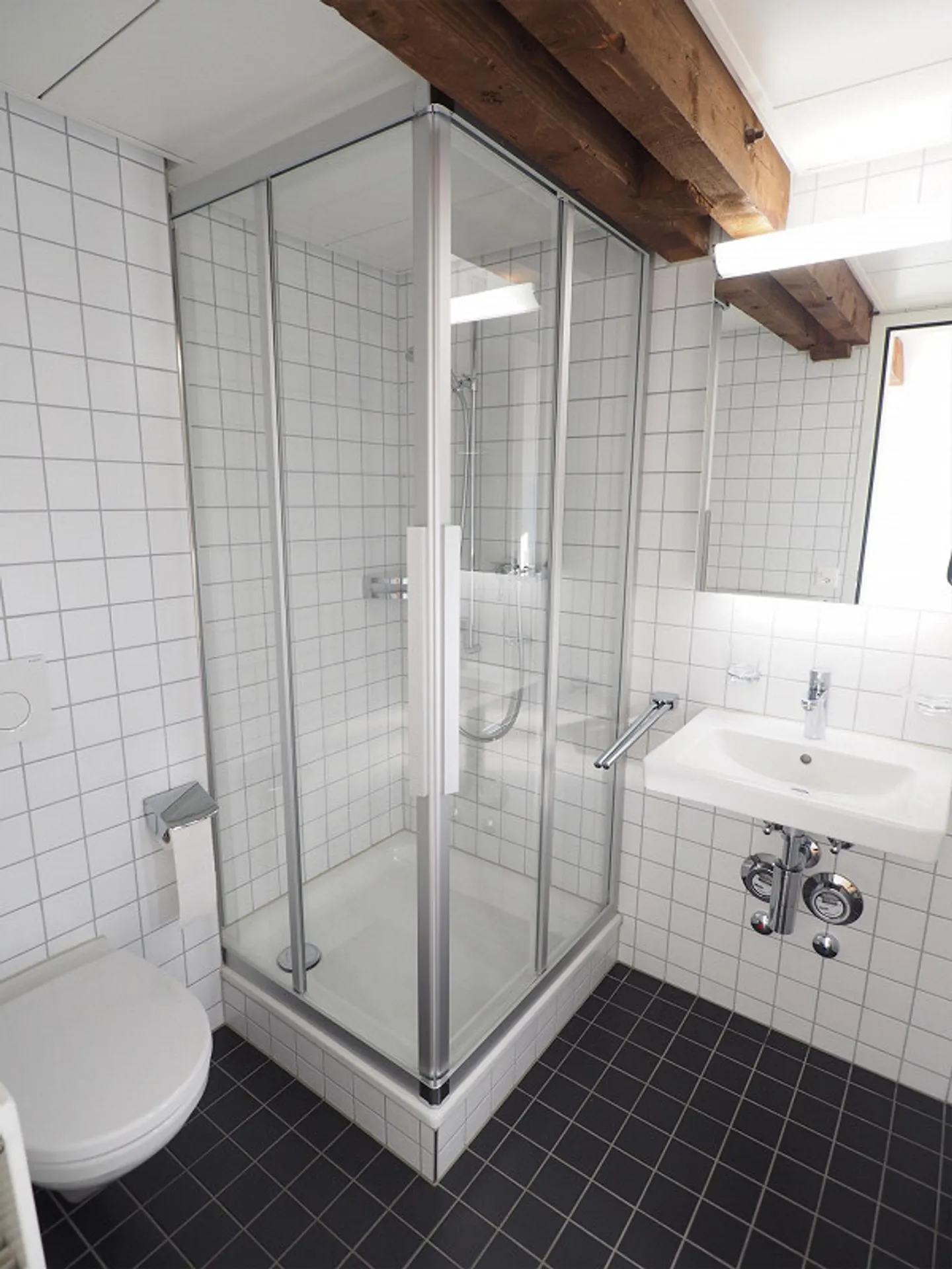 Sopra i tetti di Lucerna - Foto 5 di 11