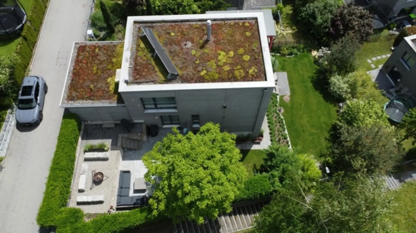 Sogno di giardino soleggiato vicino alla città - Foto 3 di 13