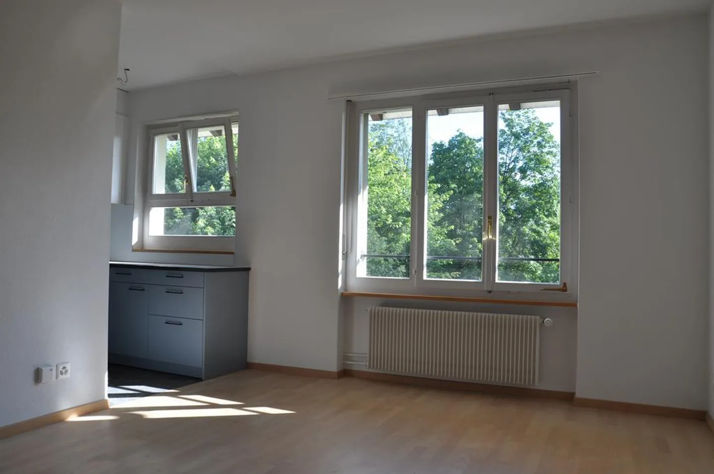 City Center and Aare - both in close proximity - Photo 4 of 7