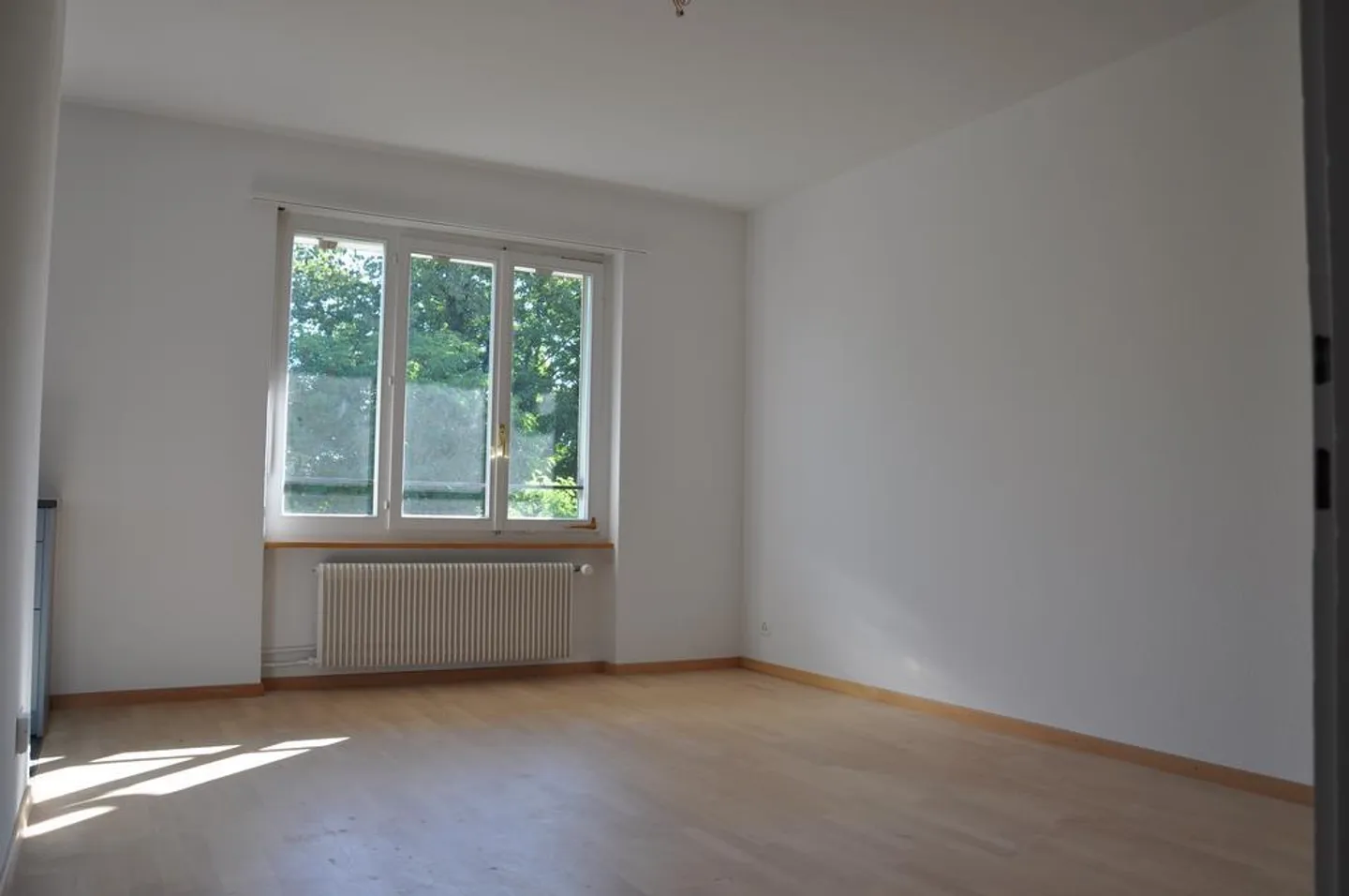 City Center and Aare - both in close proximity - Photo 6 of 7