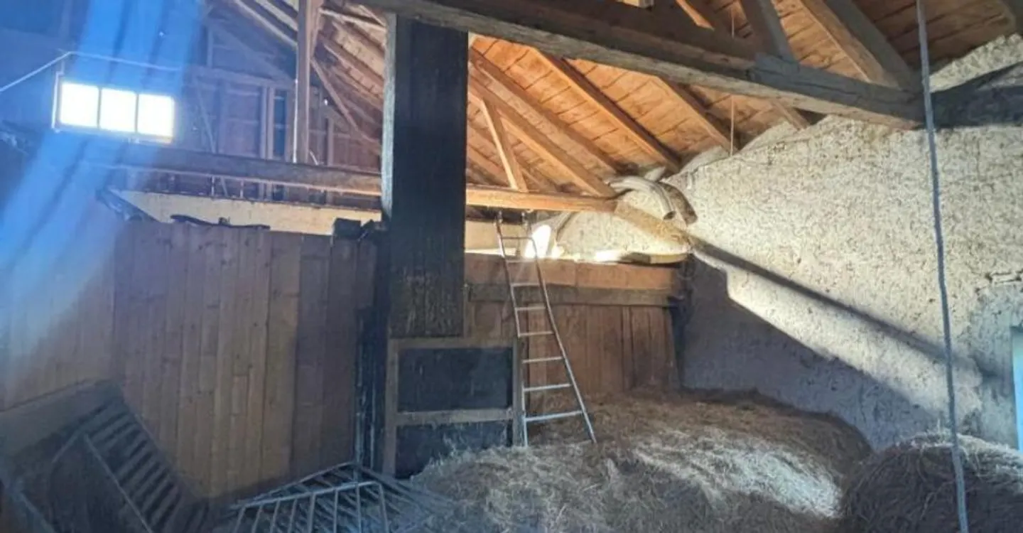 Magnifica Fattoria Con Box Per Cavalli E Oltre 2.900 Metri Quadrati Di Terreno - Foto 4 di 6