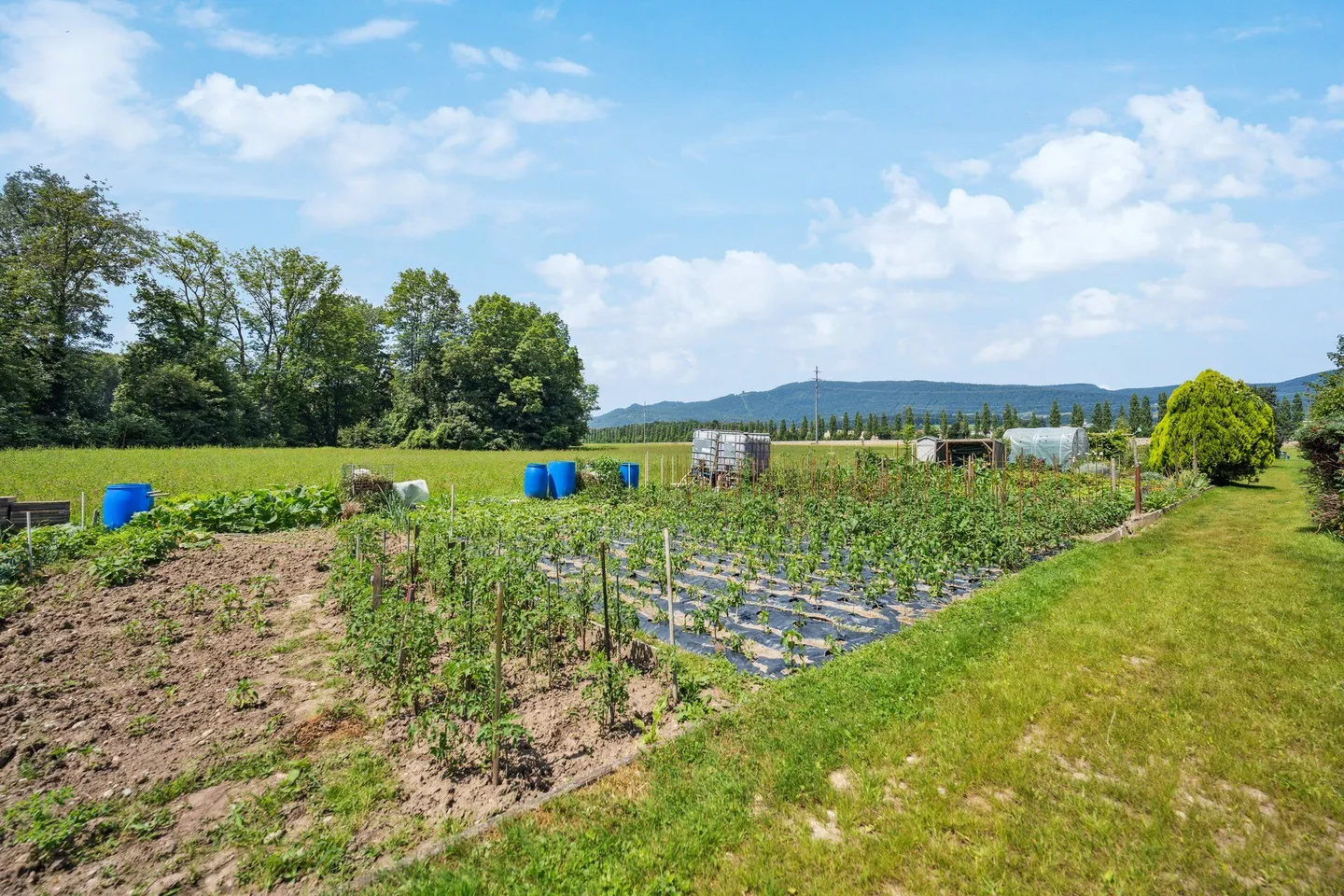 Trasferisciti e sentiti a casa! - Foto 10 di 10