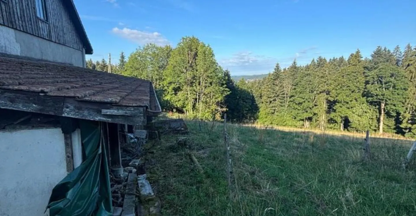 Magnifica Fattoria Con Box Per Cavalli E Oltre 2.900 Metri Quadrati Di Terreno - Foto 5 di 6