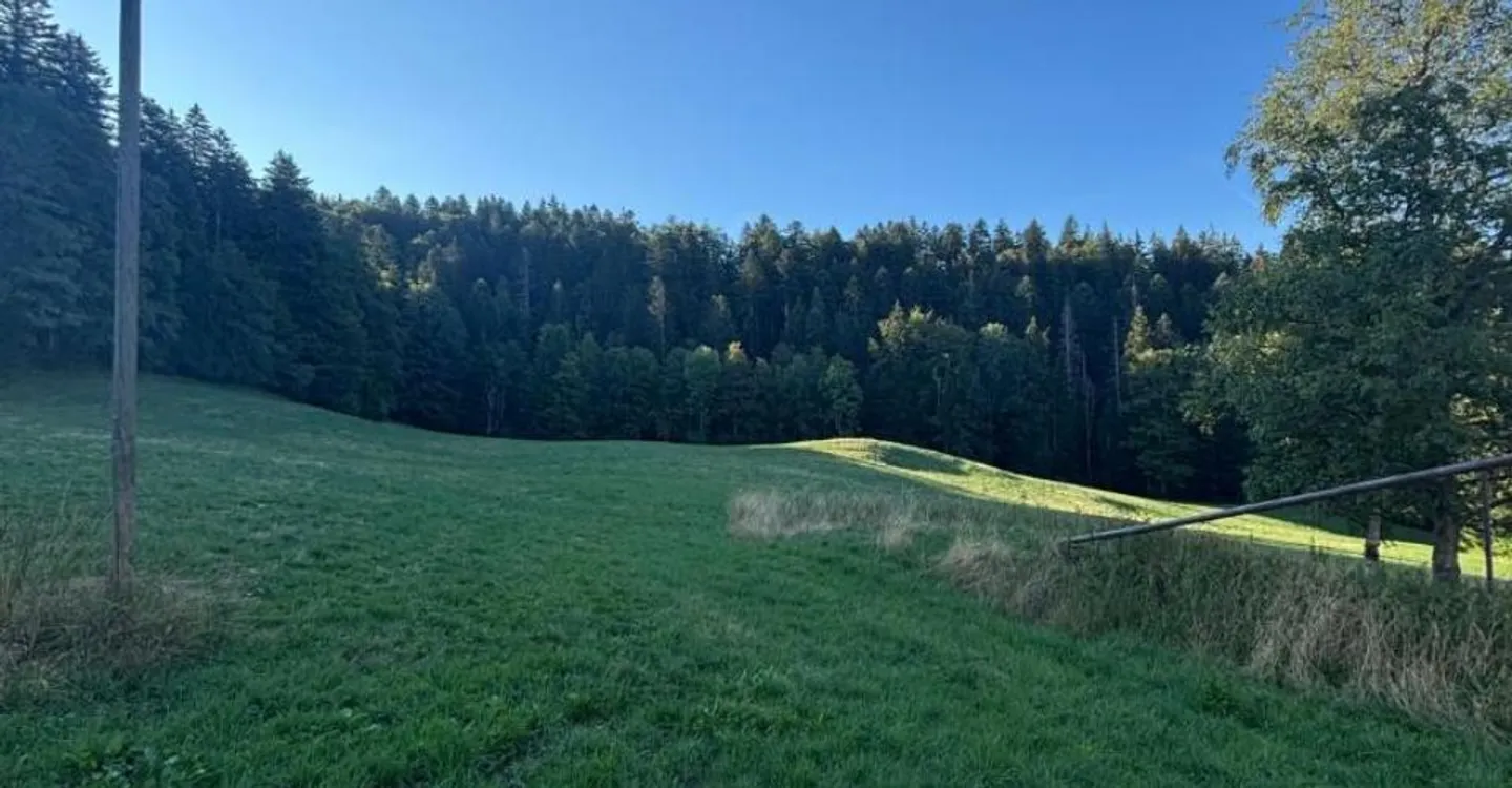 Magnifica Fattoria Con Box Per Cavalli E Oltre 2.900 Metri Quadrati Di Terreno - Foto 6 di 6