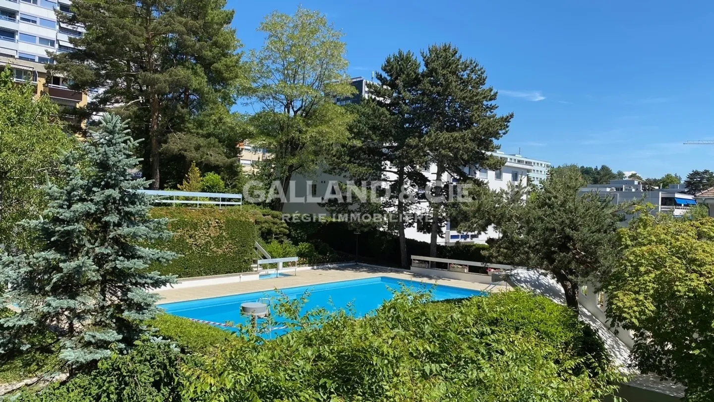 Studio 1 room - Photo 1 of 6