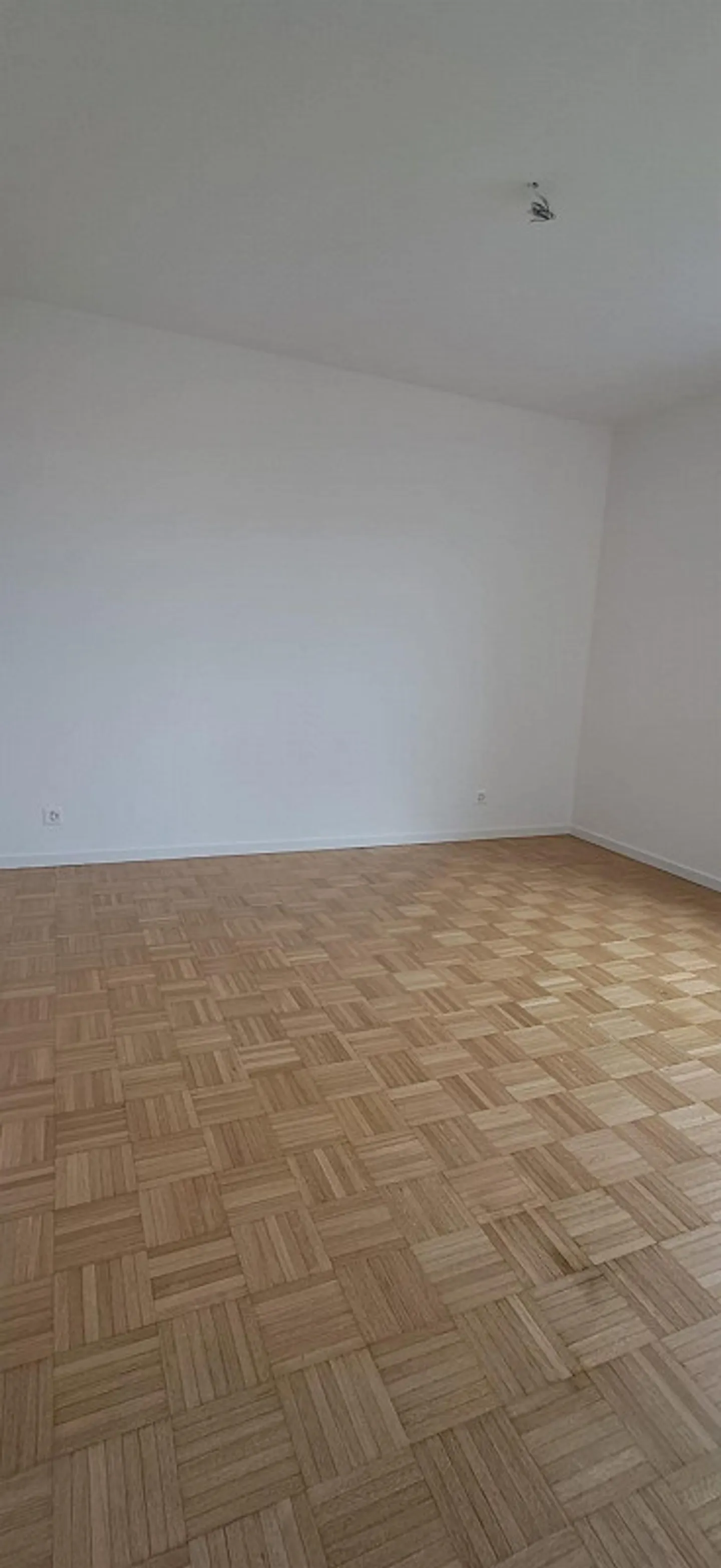 Stabile Viburno - 2,5-Zimmer-Wohnung - Foto 5 von 7