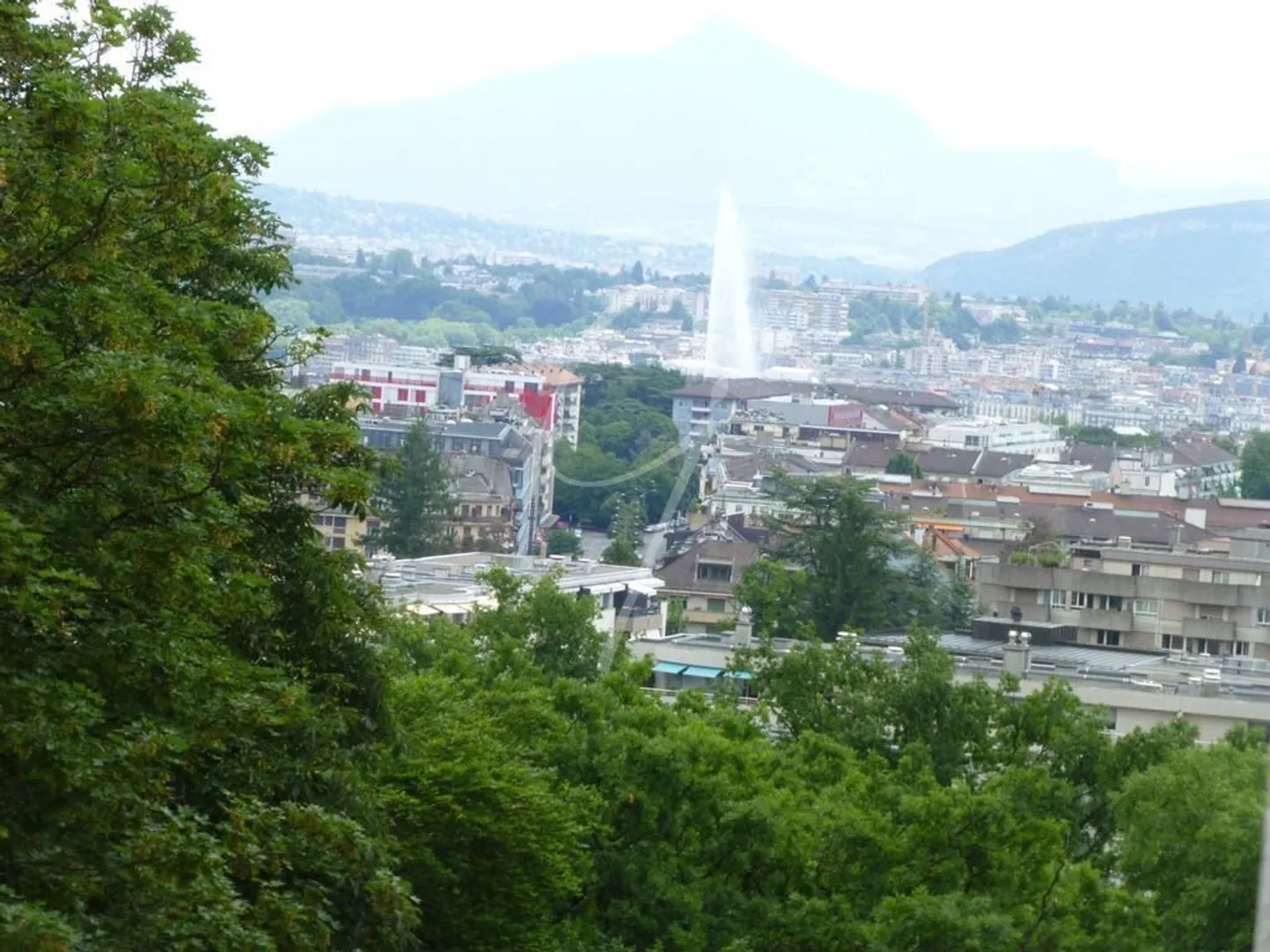 Charmante 5,5-Zimmer Wohnung - Foto 9 von 9