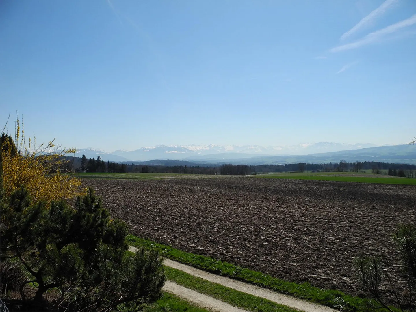 Einfamilienhaus an Toplage, 8905 Arni - Foto 4 von 6