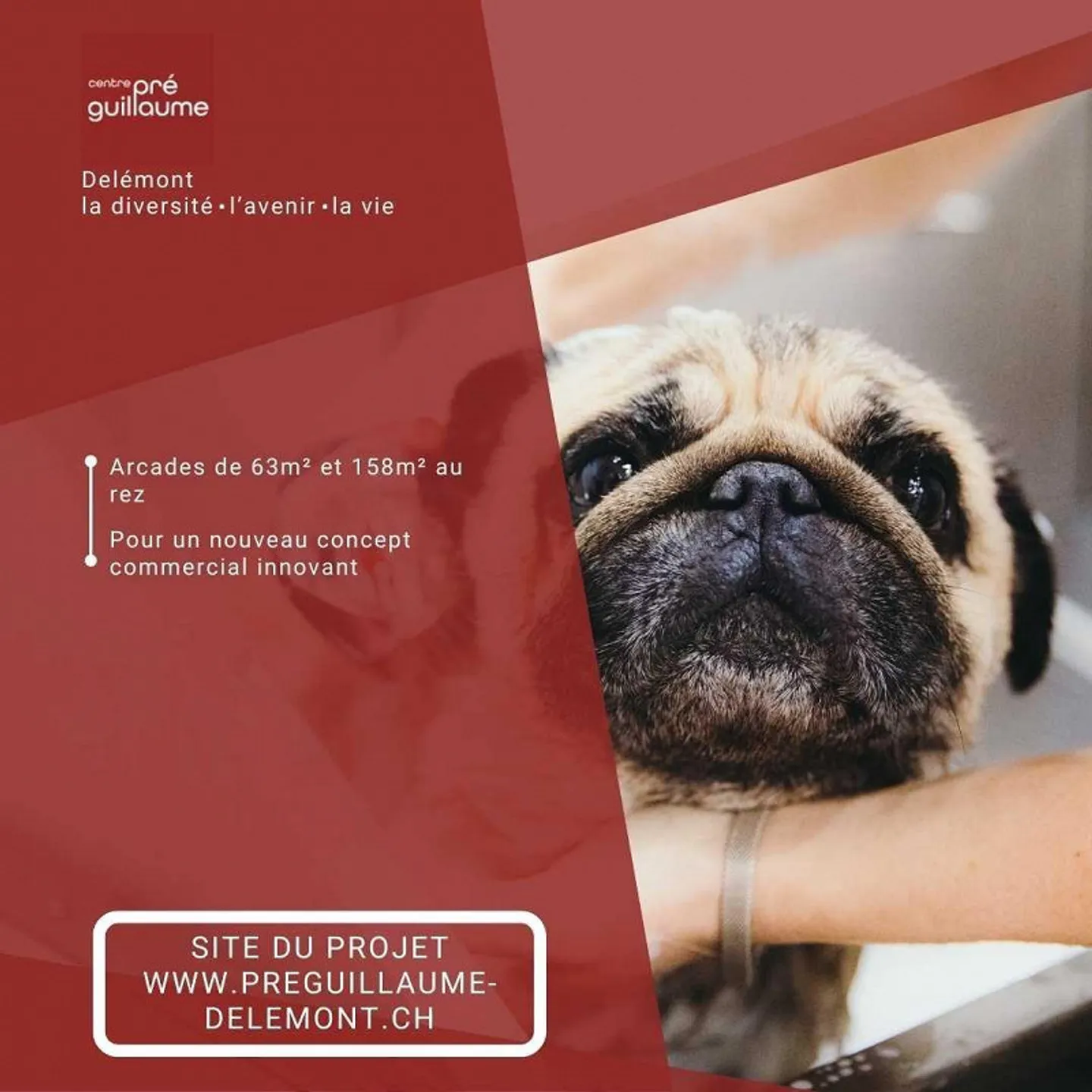 Modern commercial space in the heart of Delémont - Photo 6 of 9