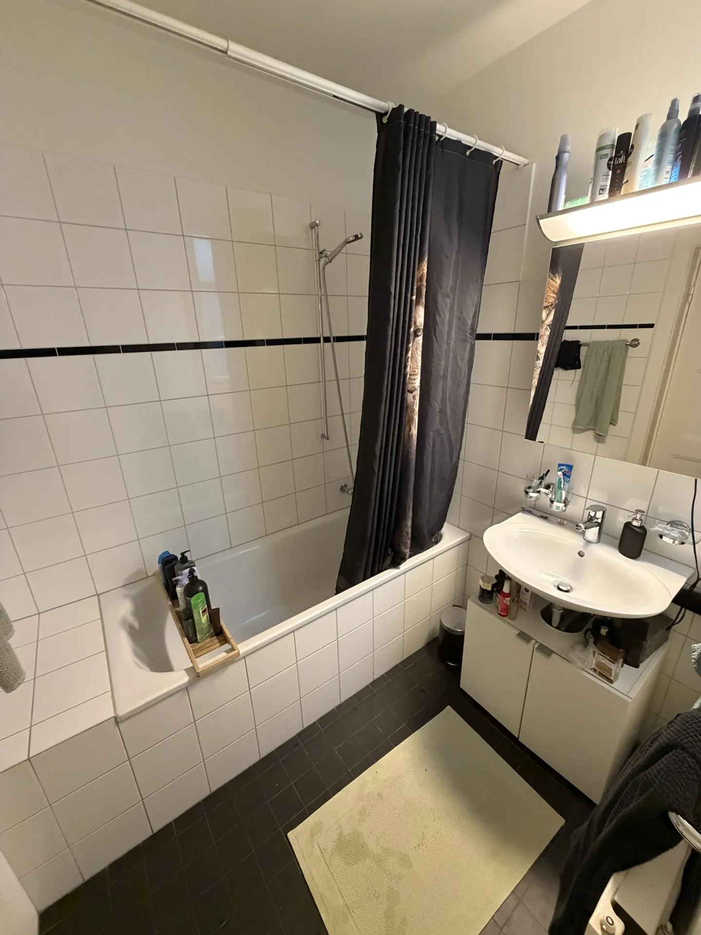 2 ROOM APARTMENT IN BASEL - ST. JOHANN, FURNISHED, TEMPORARY - Photo 8 of 9