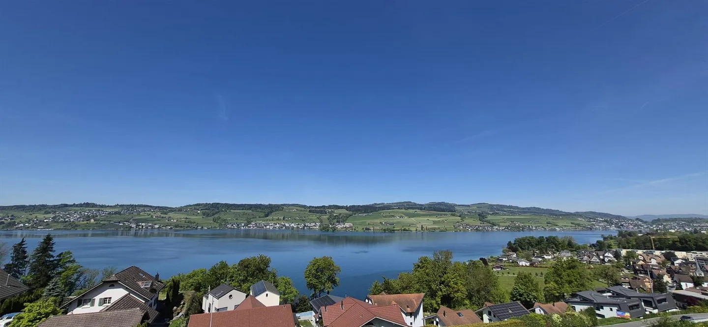 Exclusive Single-Family Home with Lake View & Alpine Panorama - Photo 22 of 24