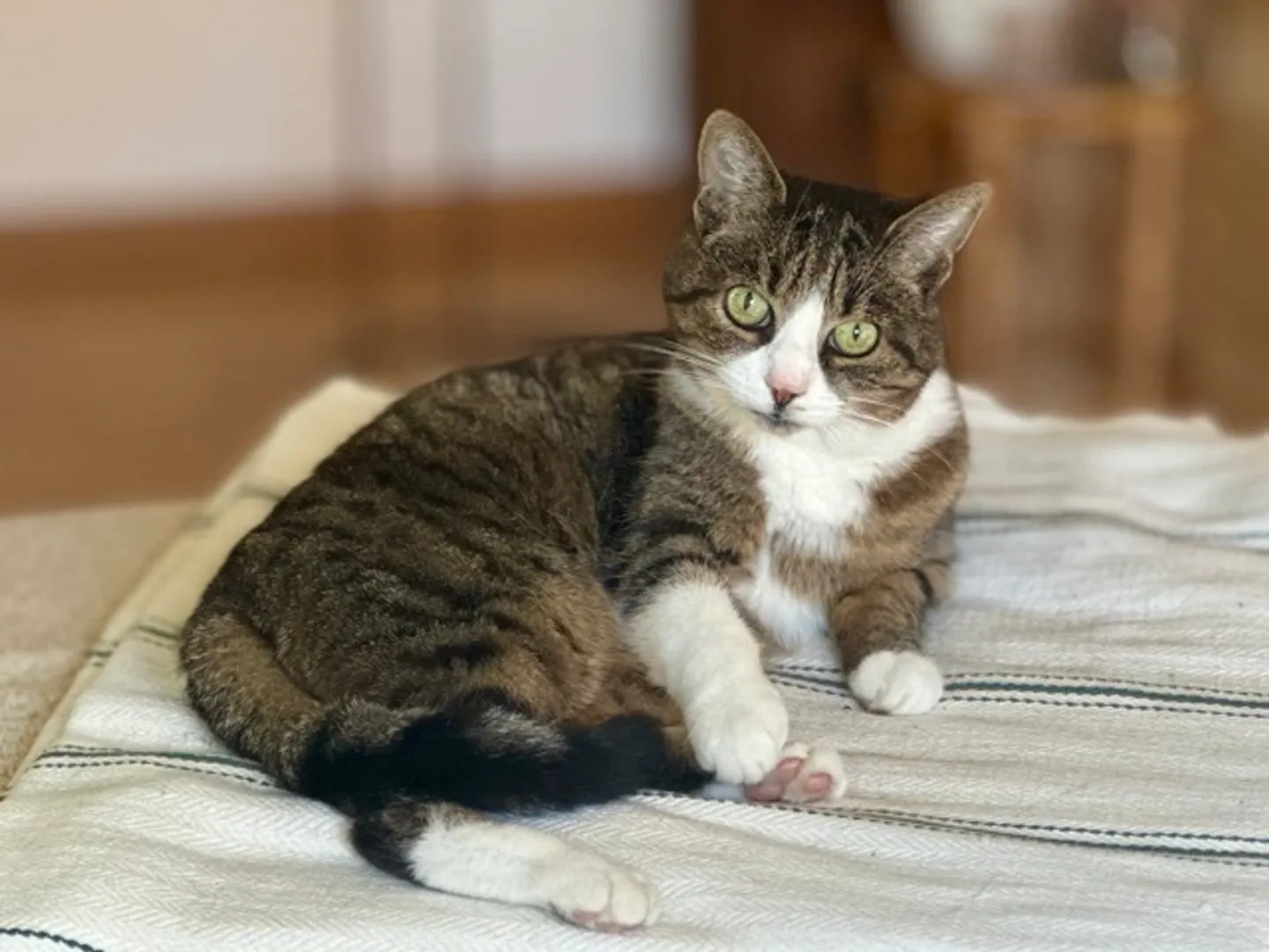 3½ ZI-WOHNUNG IN ZÜRICH - KREIS 9 ALTSTETTEN, MÖBLIERT, TEMPORÄR - Foto 8 von 10