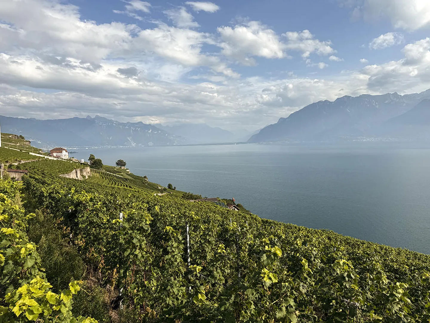 Appartement 4.5 pièces - Photo 1 sur 3