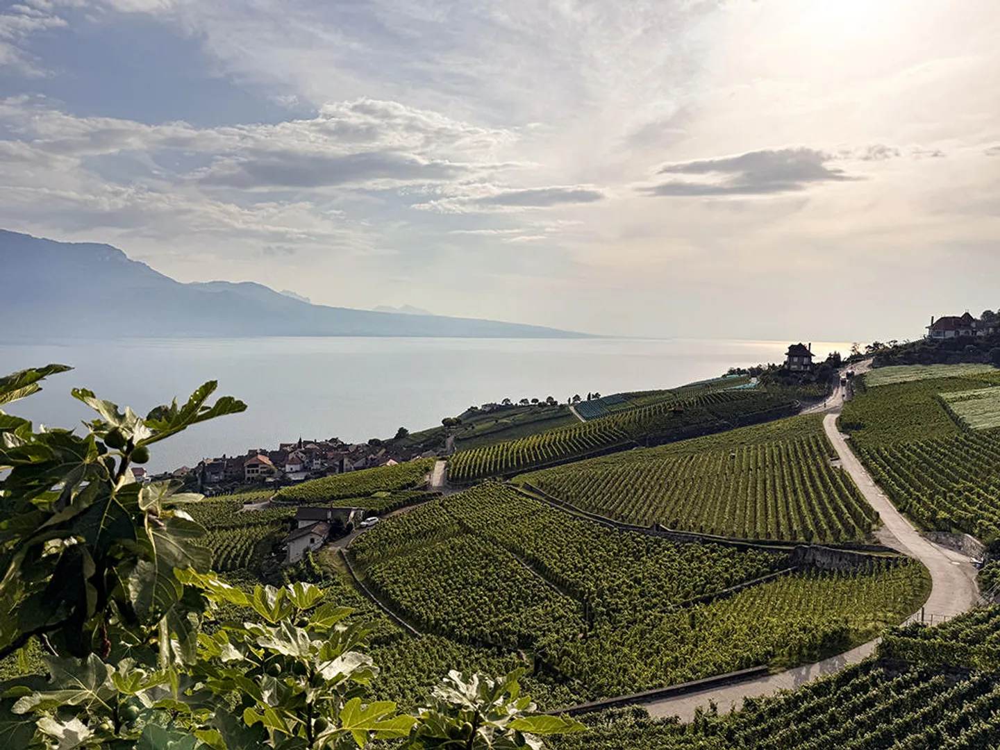 Appartement 4.5 pièces - Photo 3 sur 3