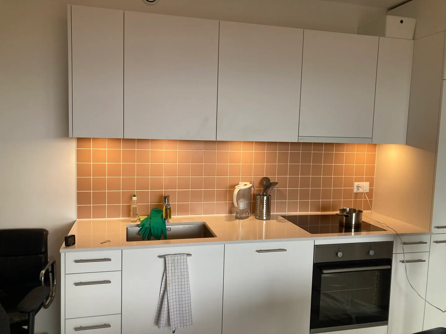 2½ ZIMMER WOHNUNG IN CAROUGE (GE), MÖBLIERT, BEFRISTET - Foto 5 von 8
