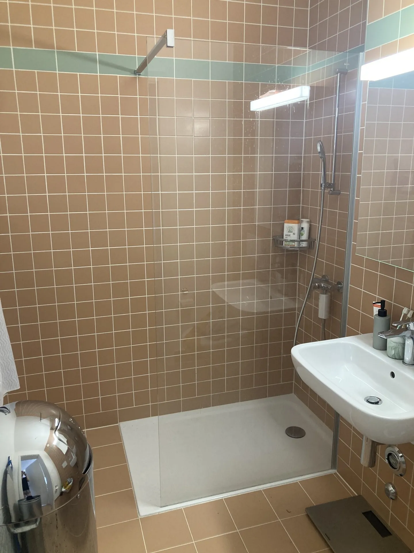 2½ ZIMMER WOHNUNG IN CAROUGE (GE), MÖBLIERT, BEFRISTET - Foto 8 von 8