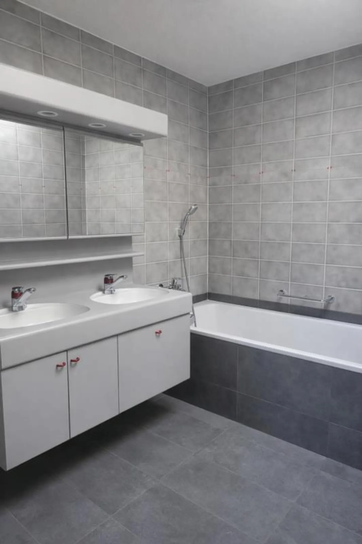 Stupendo spazio abitativo di 89m² con terrazza e vista sulle Alpi bernesi - Foto 5 di 8