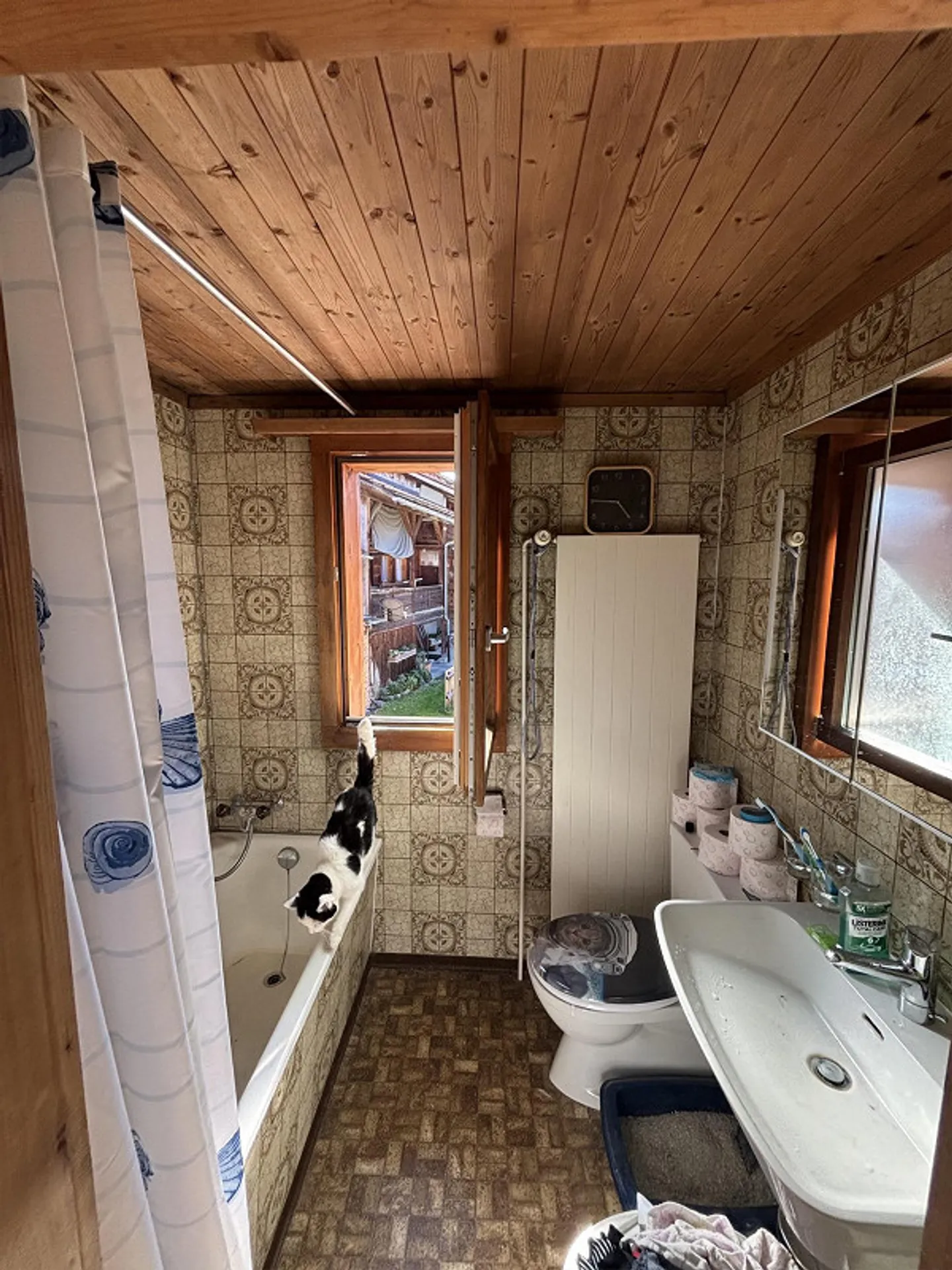 Sonnige 2.5-Zimmer-Wohnung - Foto 4 von 7