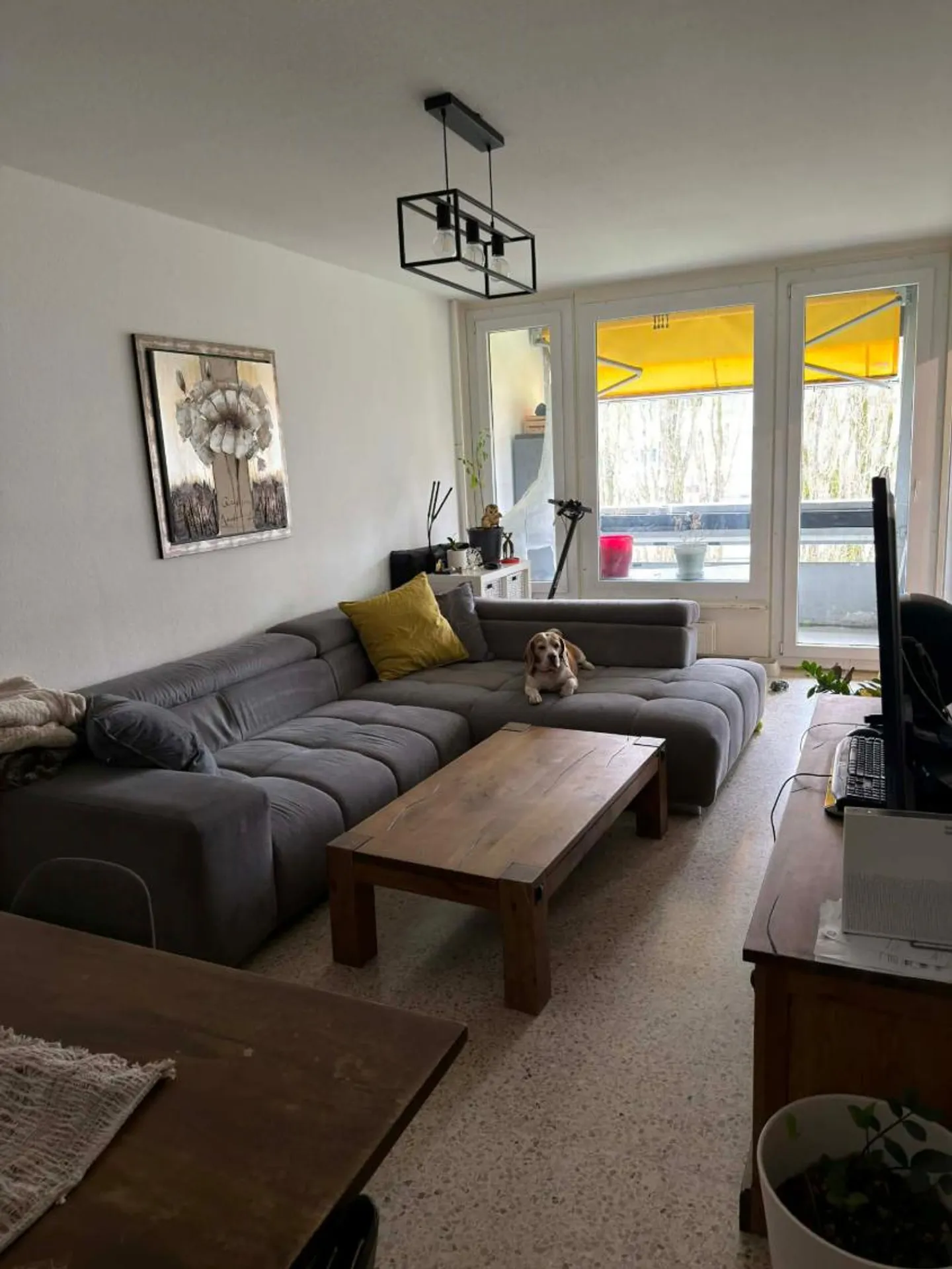 5-Zimmer-Wohnung - Foto 4 von 5