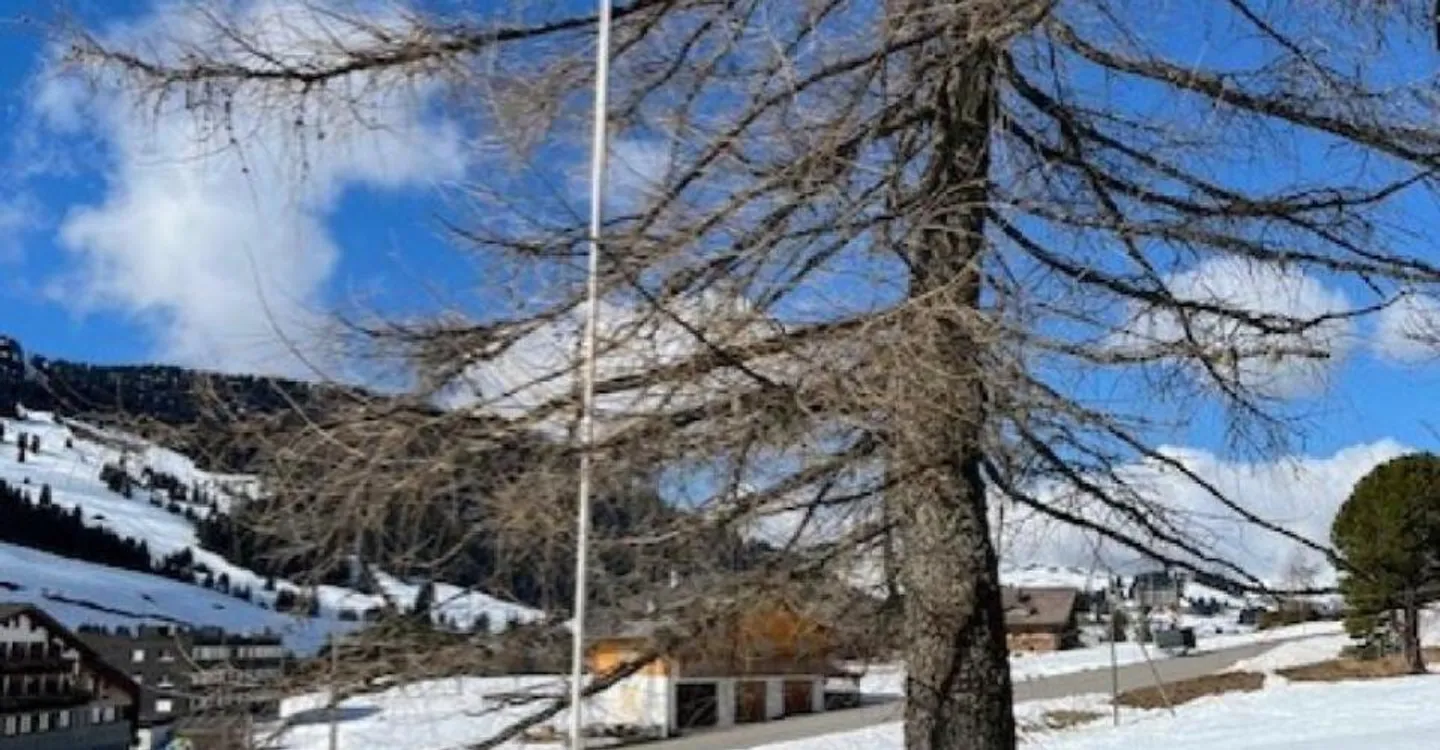 Pretty chalet with two apartments in PPE - Photo 9 of 11