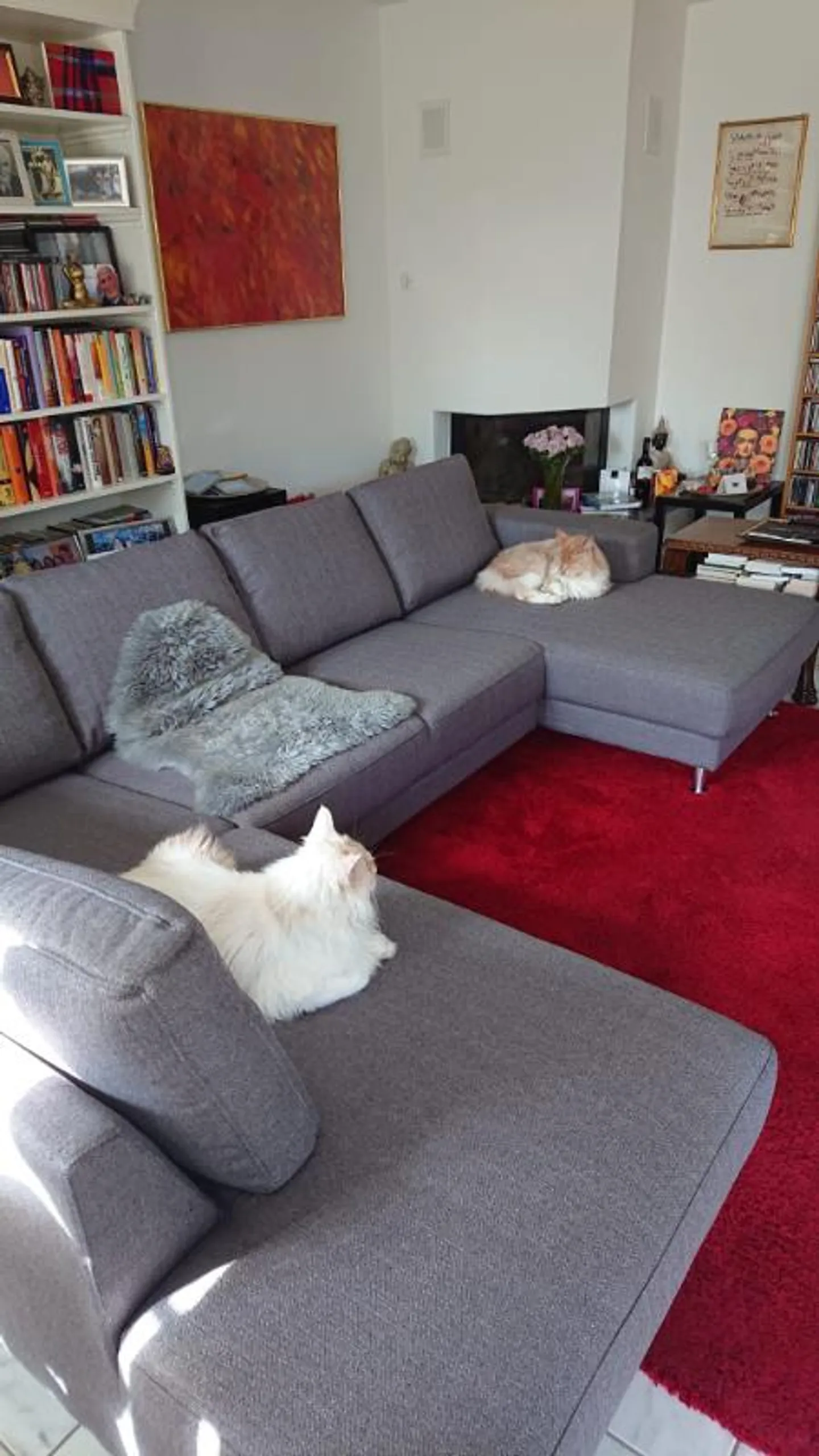 Appartamento 3.5 locali - Foto 1 di 5