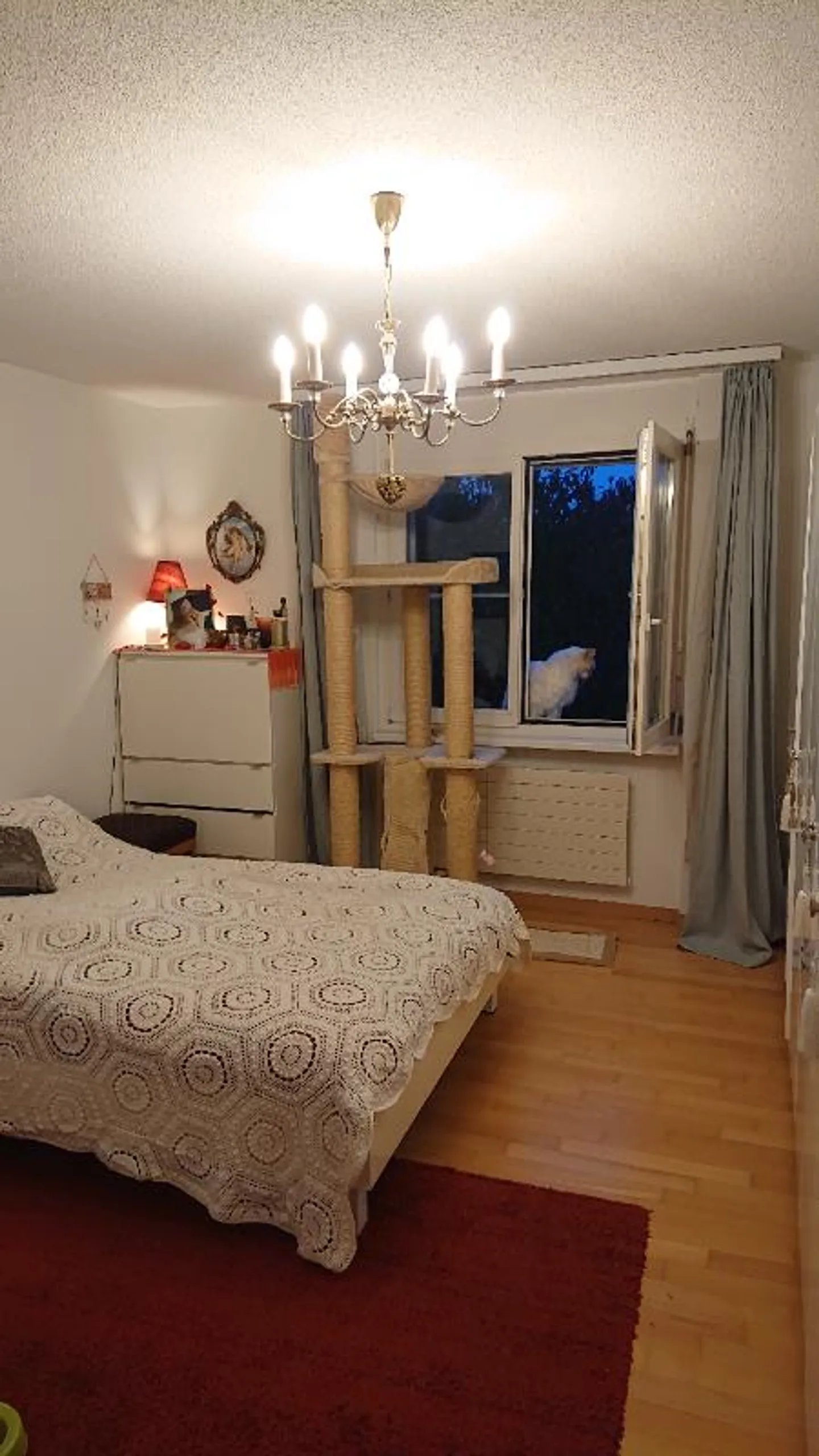 Appartamento 3.5 locali - Foto 2 di 5