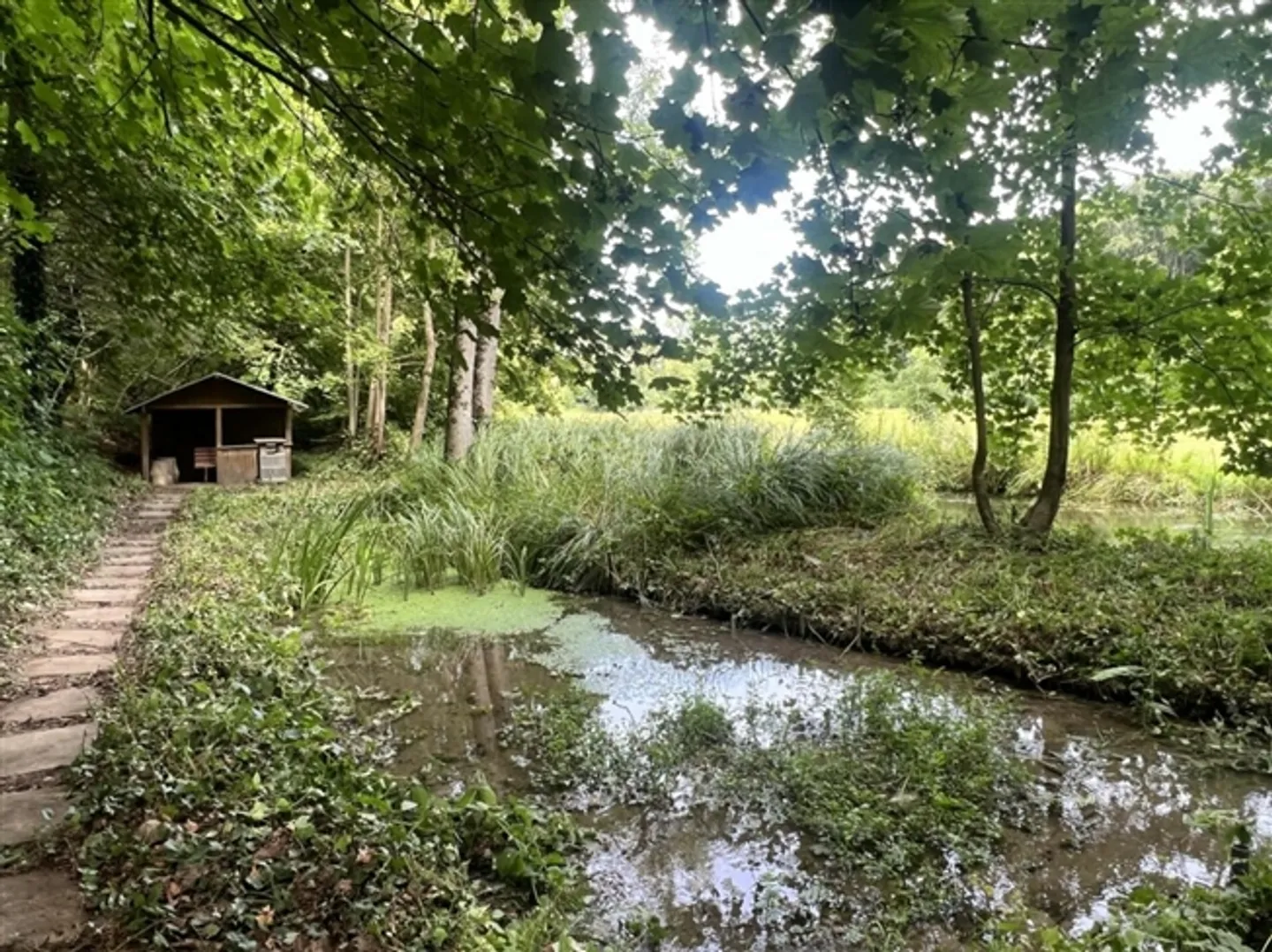 Renovated 5.5 Room Single-Family House with Private Forest! A True Gem for Connoisseurs and Nature Lovers - Photo 12 of 13