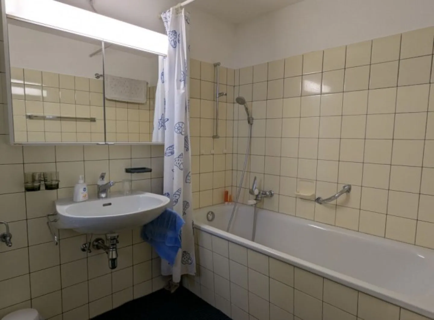 Charmantes Rustico nahe Lago Maggiore - Foto 8 von 10