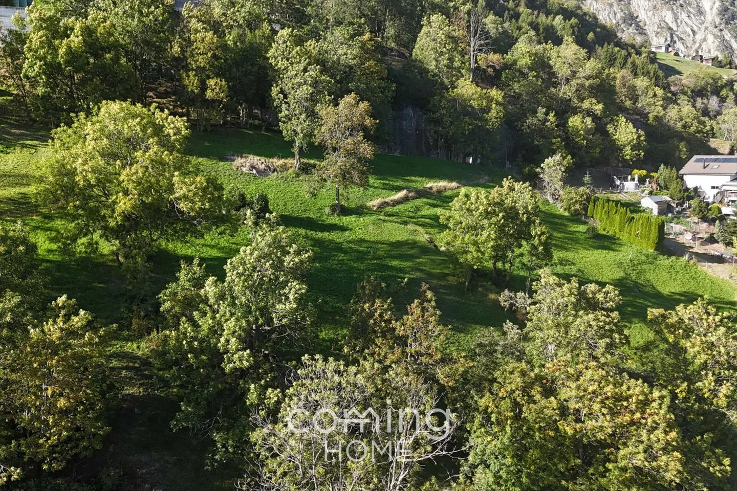 Building Plot - Photo 4 of 9