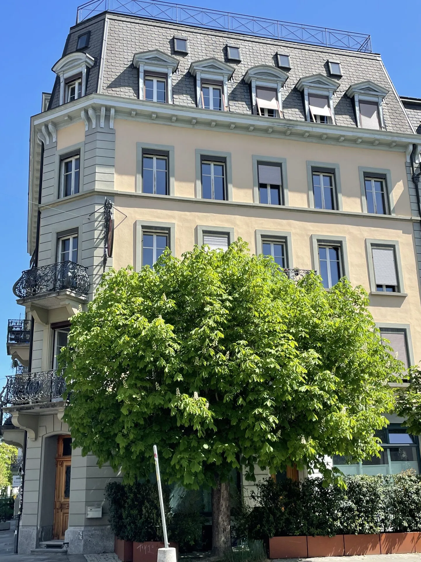 Appartamento di 3,5 stanze in un edificio d'epoca nel centro di Berna - Foto 7 di 7