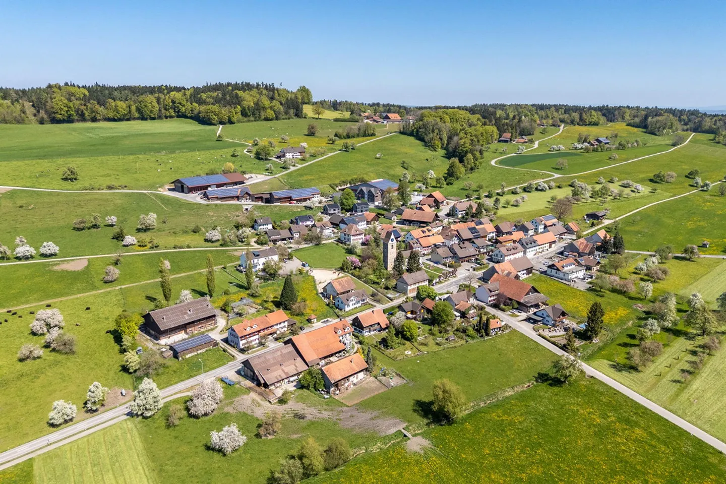 Diverse Country Estate, 3 Residential Units, Stable & Sheds - Photo 36 of 37