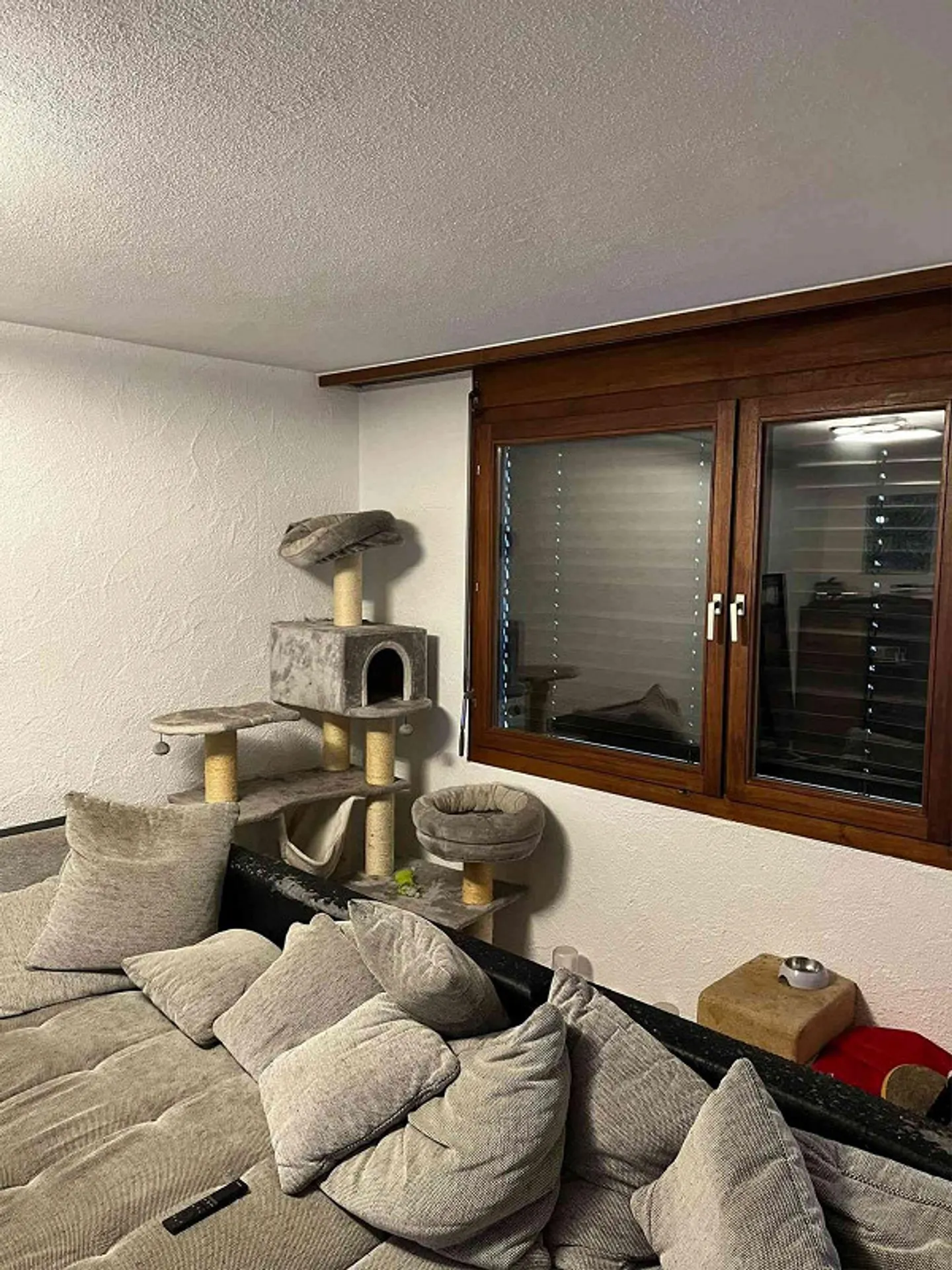 Cercasi nuovo inquilino per appartamento di 4,5 stanze a Ilanz immediatamente. - Foto 8 di 13