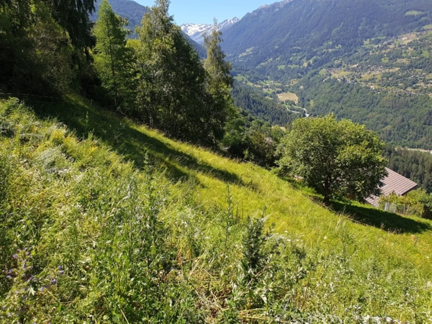 «NENDAZ Wunderschönes Baugrundstück - bewahrte Aussicht auf die Alpen» - Foto 2 von 5