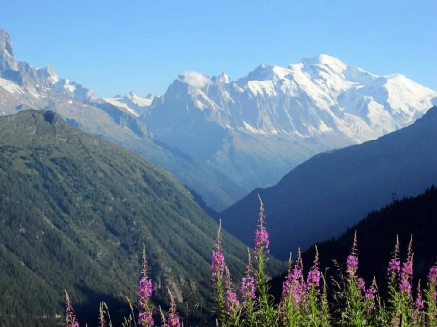 Finhaut, bellissimo terreno di 1374 m2 - Foto 10 di 12