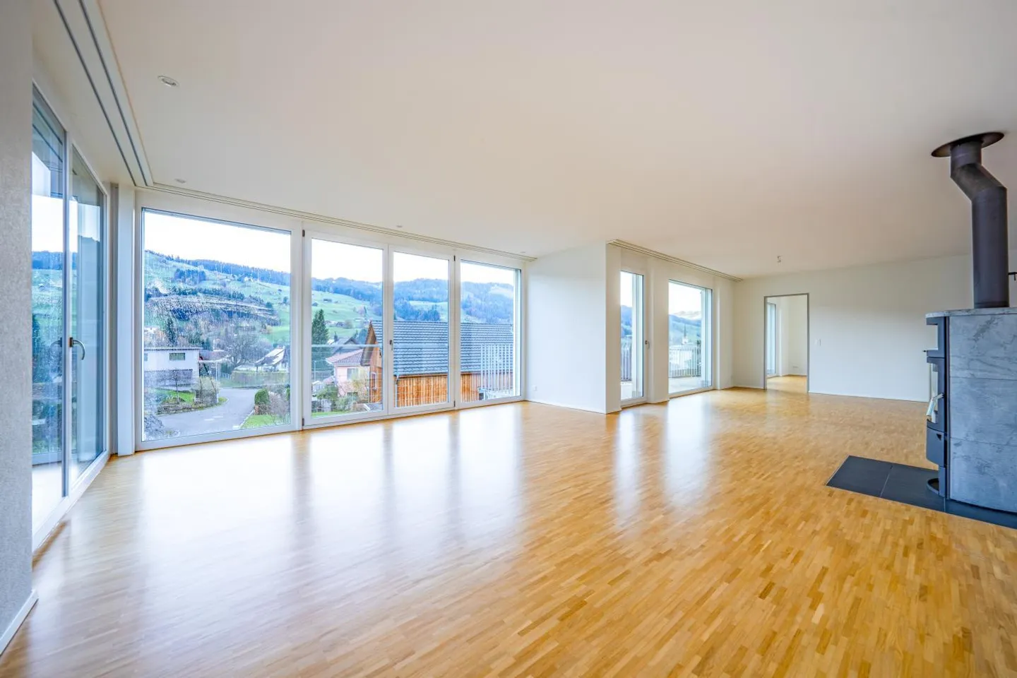 Modern Multi-Family House with 3 Apartments - Photo 3 of 7
