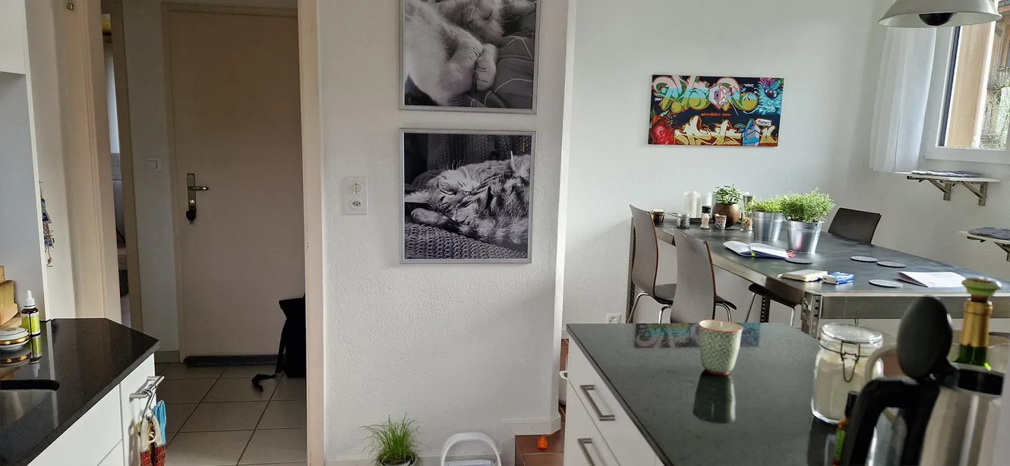 Sous-location : appartement de 3,5 pièces avec vue dégagée sur la montagne et la plaine - Photo 8 sur 15
