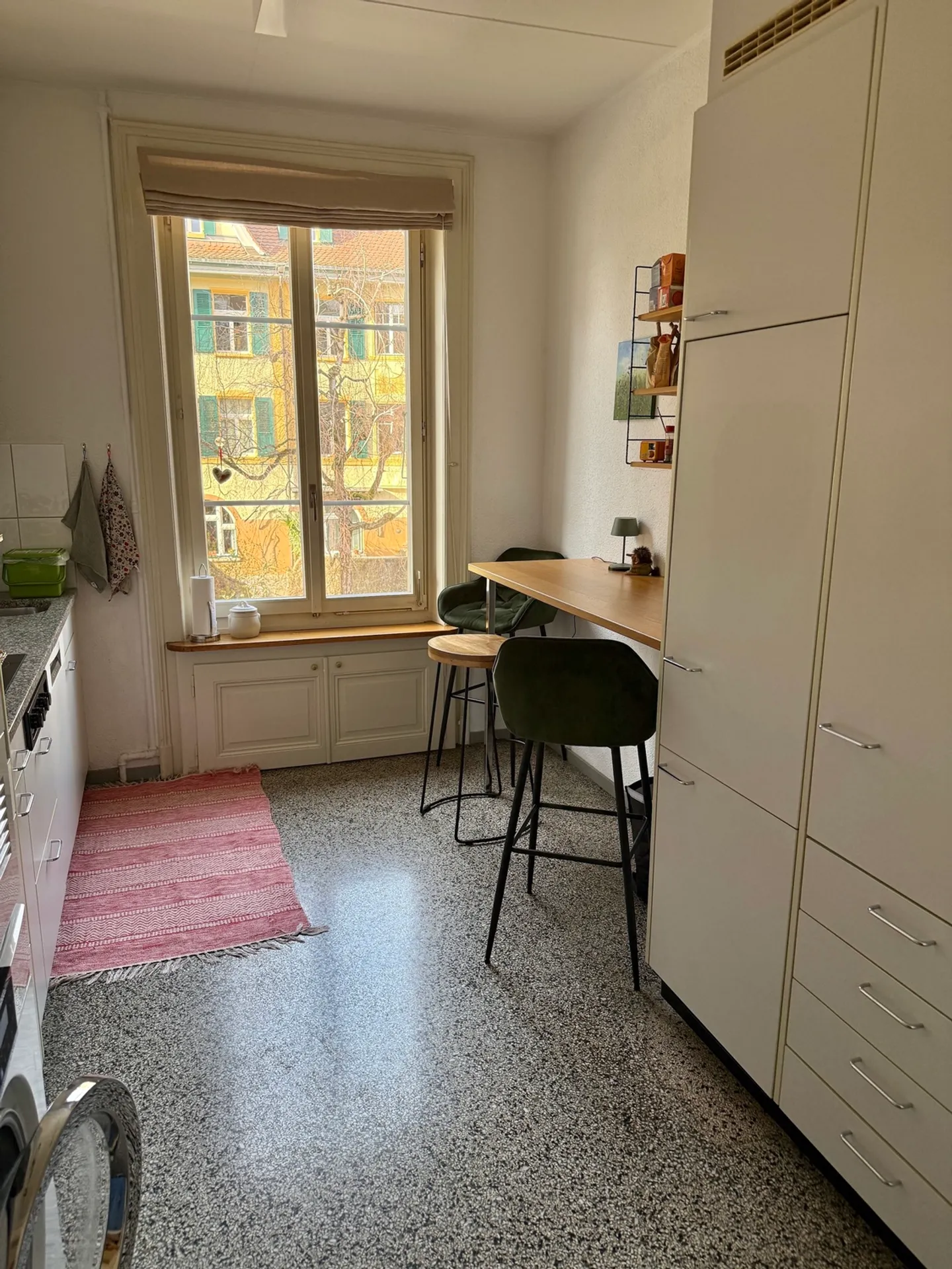 APPARTAMENTO 4 STANZE A BERN, ARREDATO, TEMPORANEO - Foto 5 di 10