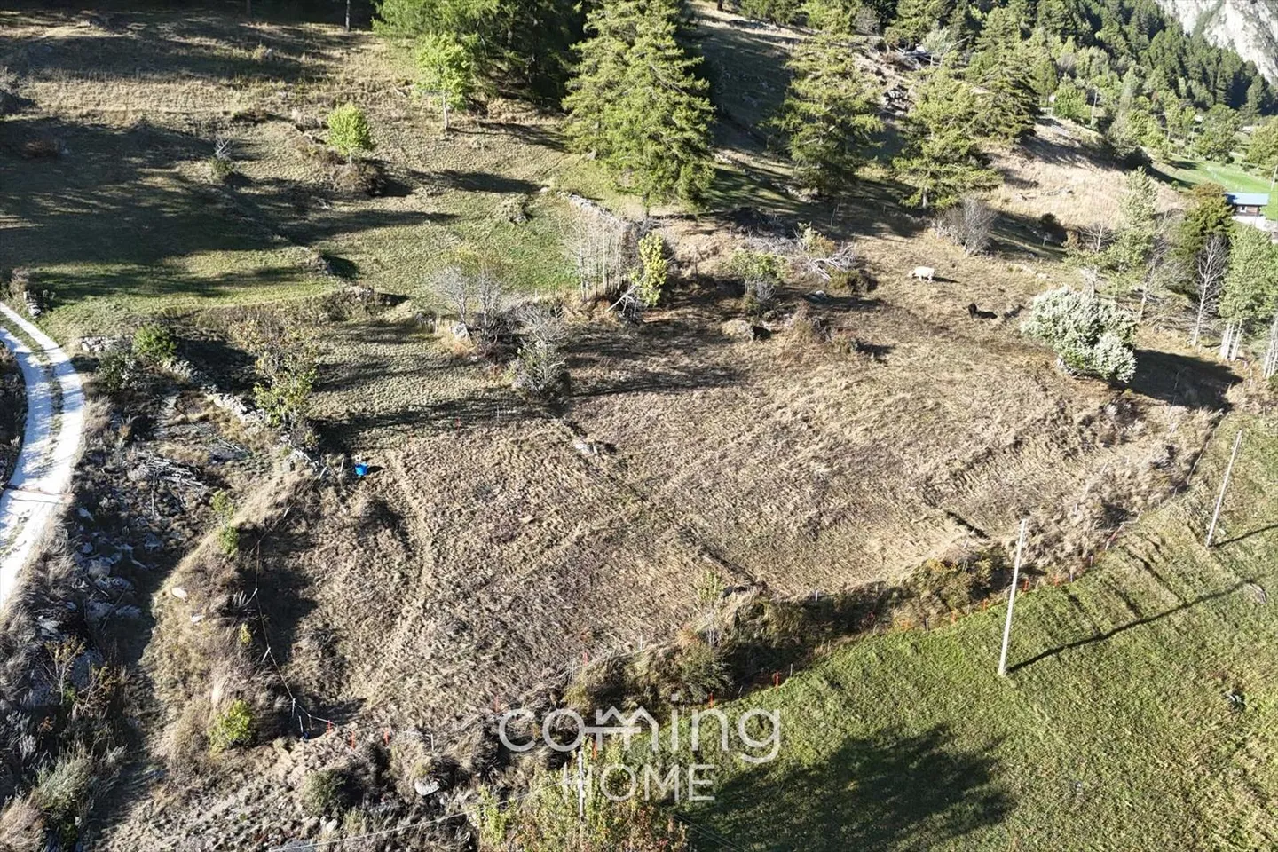 Sunny building plot in Salwald above Mund - Nature, Peace & View - Photo 3 of 9