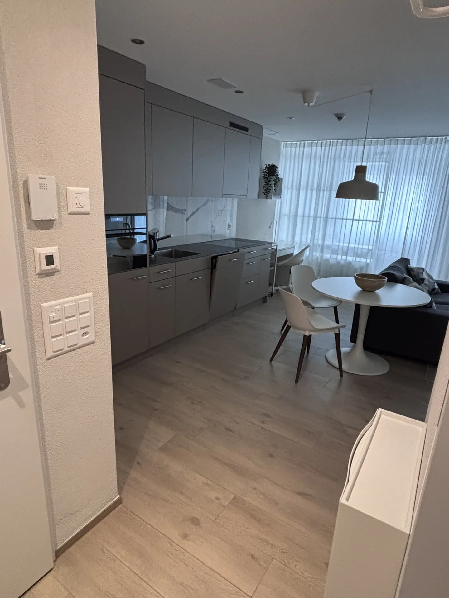 Modern Apartment with Balcony - Photo 4 of 10