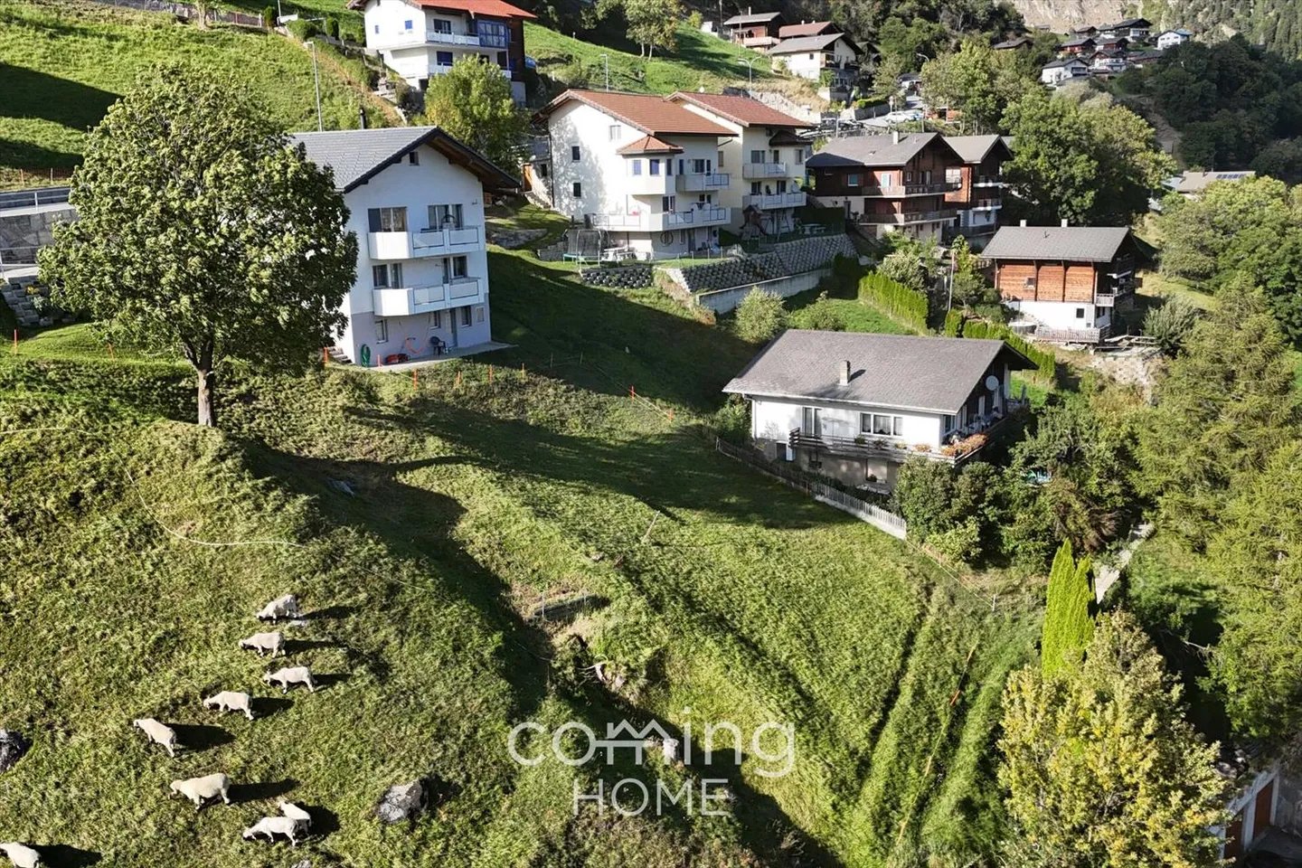 Dreamlike Building Plot in Mund - Sunny Location with a View - Photo 3 of 10