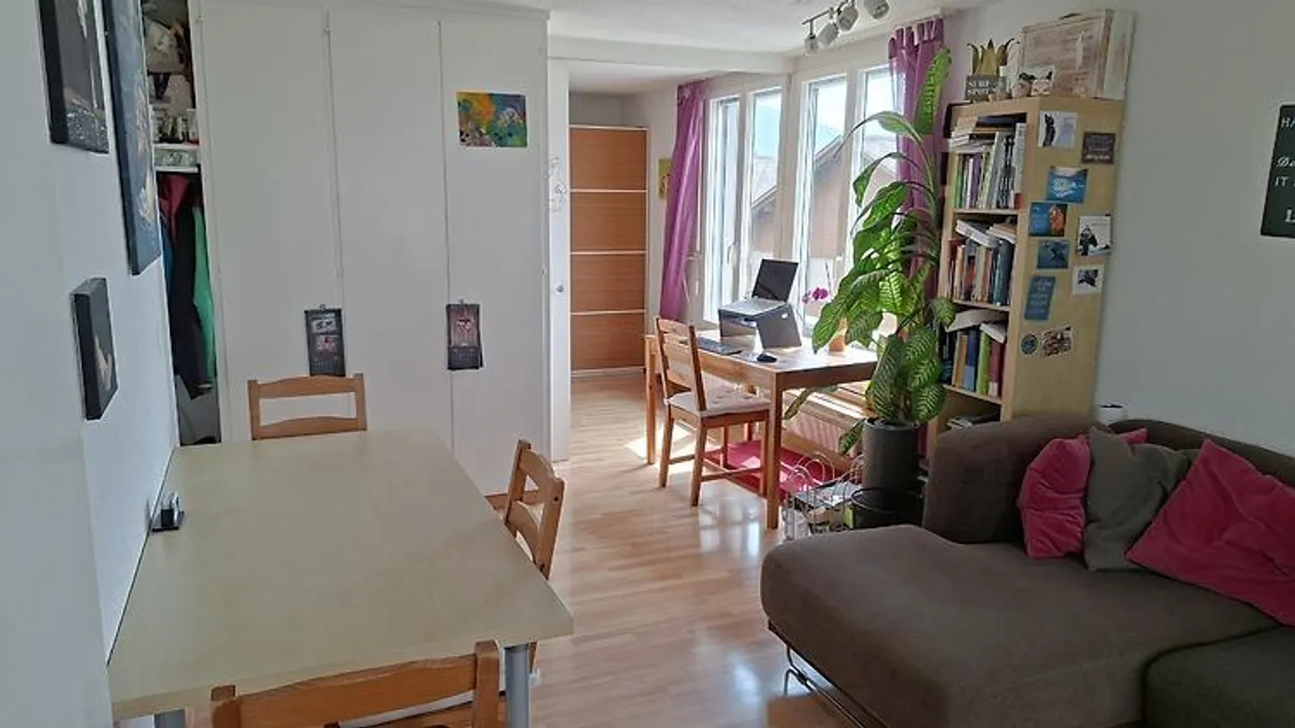 2 ROOM APARTMENT IN THUN (BE), FURNISHED, TEMPORARY - Photo 2 of 9