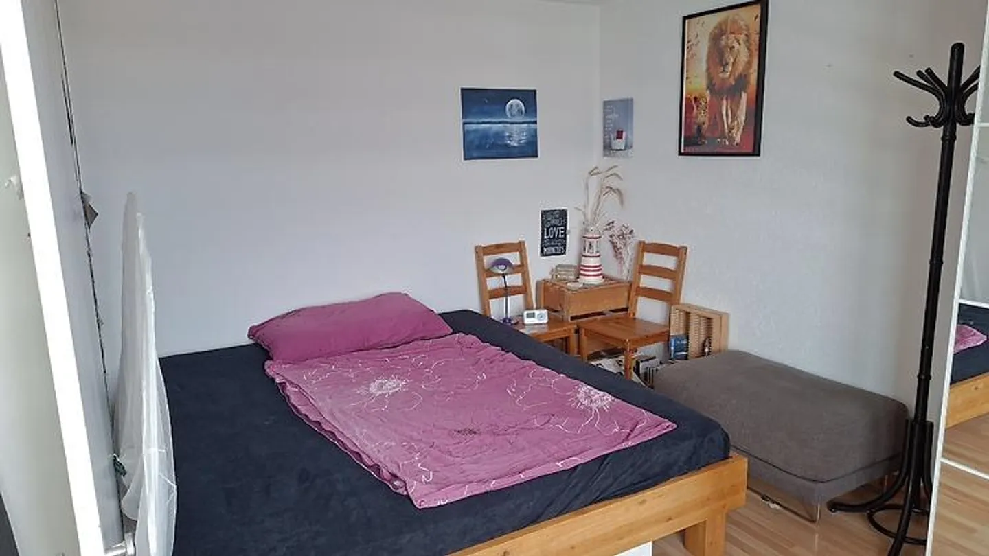 2 ROOM APARTMENT IN THUN (BE), FURNISHED, TEMPORARY - Photo 6 of 9