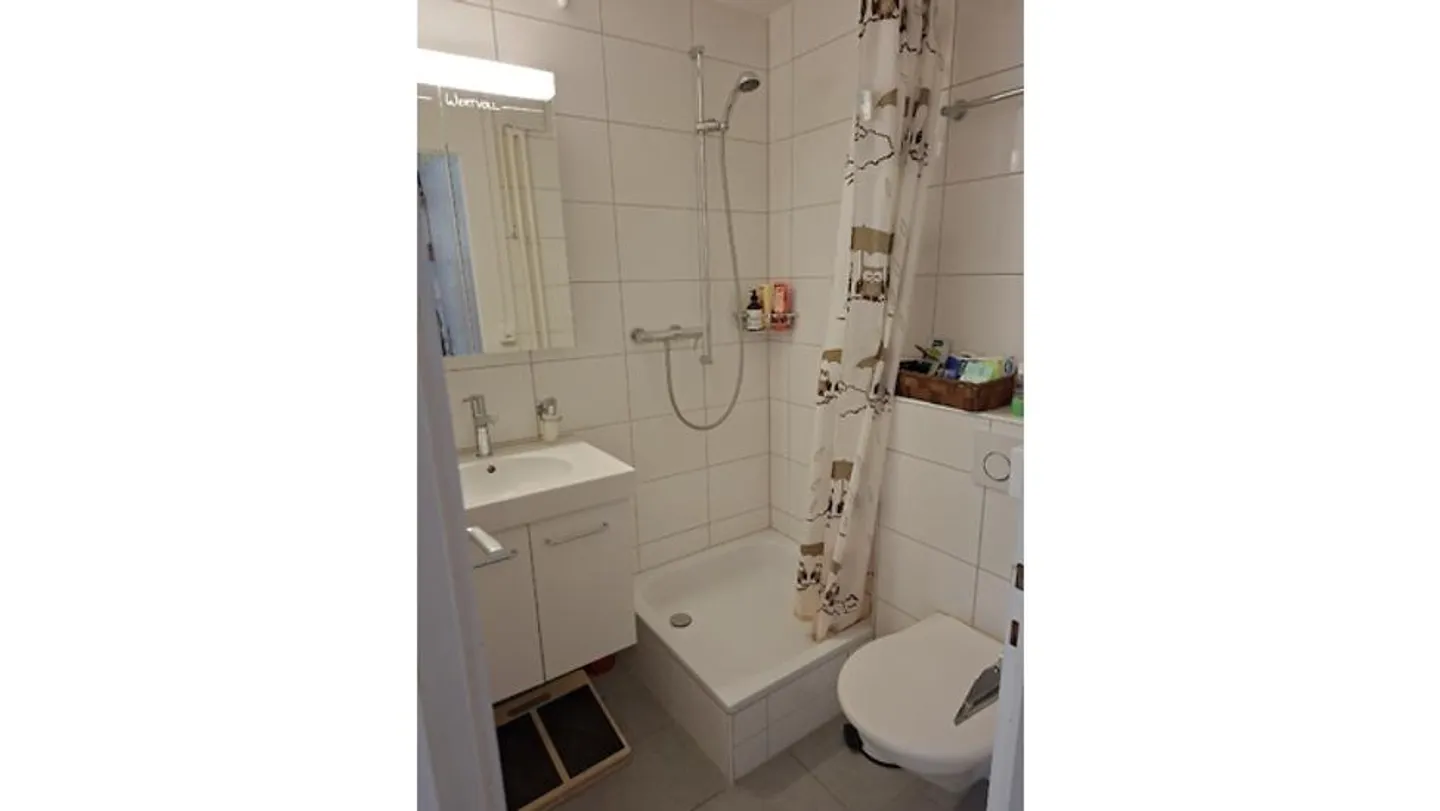 2 ROOM APARTMENT IN THUN (BE), FURNISHED, TEMPORARY - Photo 7 of 9