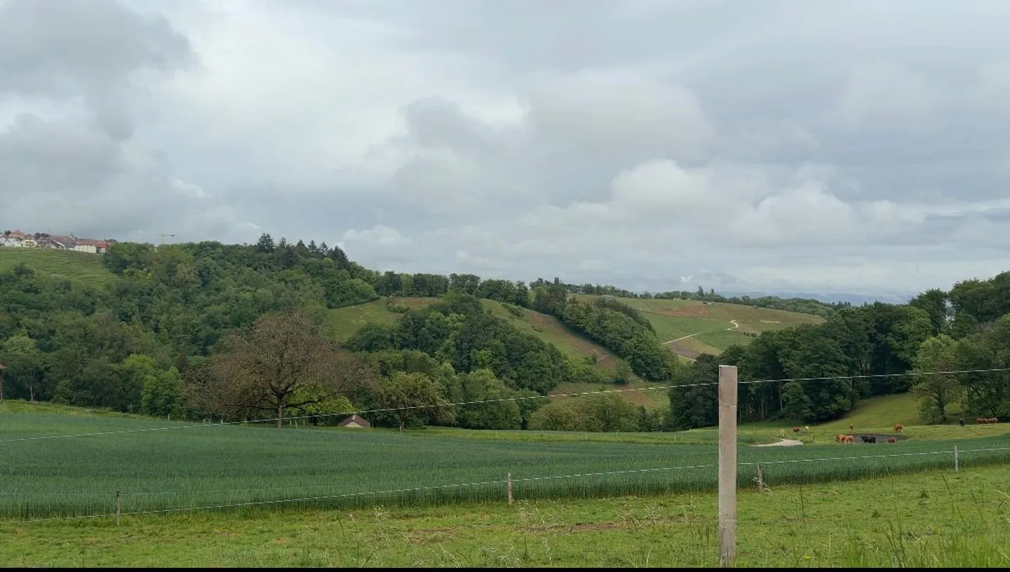For sale: Aubonne - Exceptional plot of 2,600 m² on the edge of the forest - Photo 1 of 5