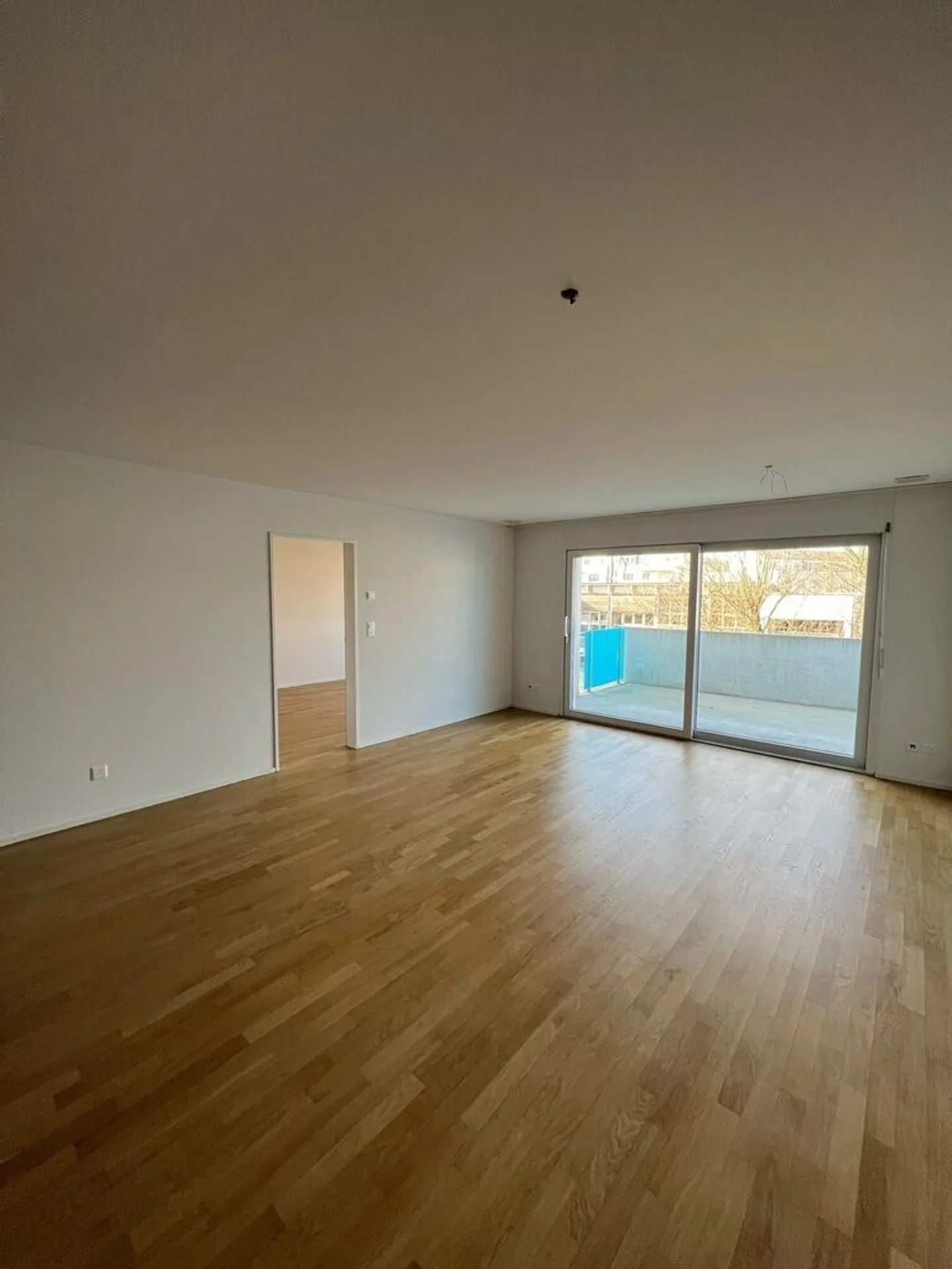 2 1/2 Room Apartment - Photo 5 of 8