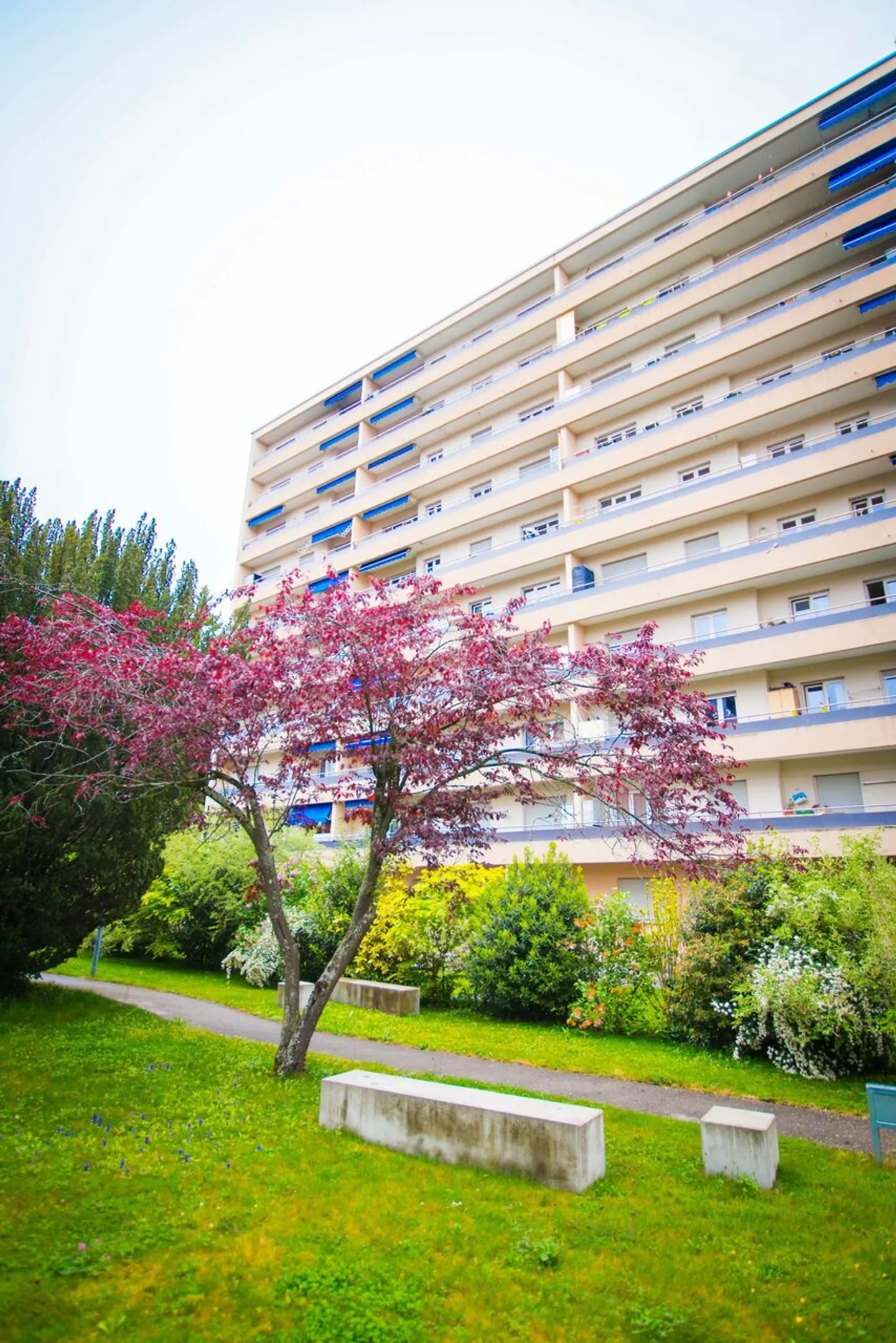 Wohnung mieten - Foto 1 von 3